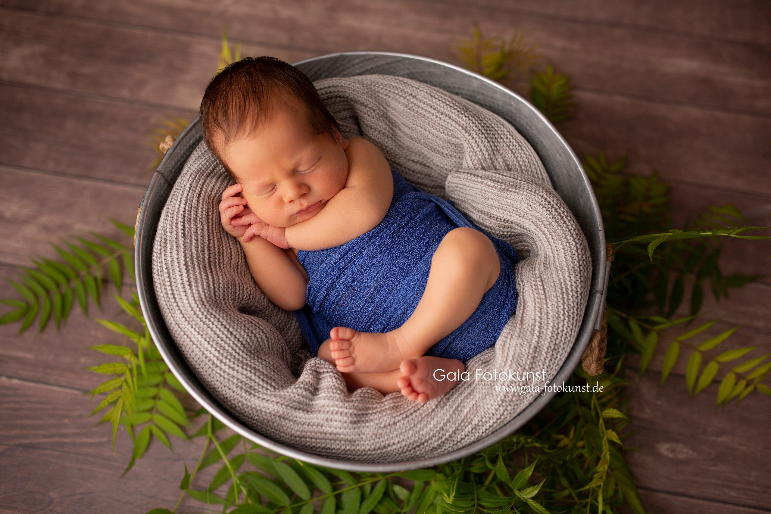 Neugeborene. Neugeborenen, Familien, Geschwister Fotografin aus Delmenhorst