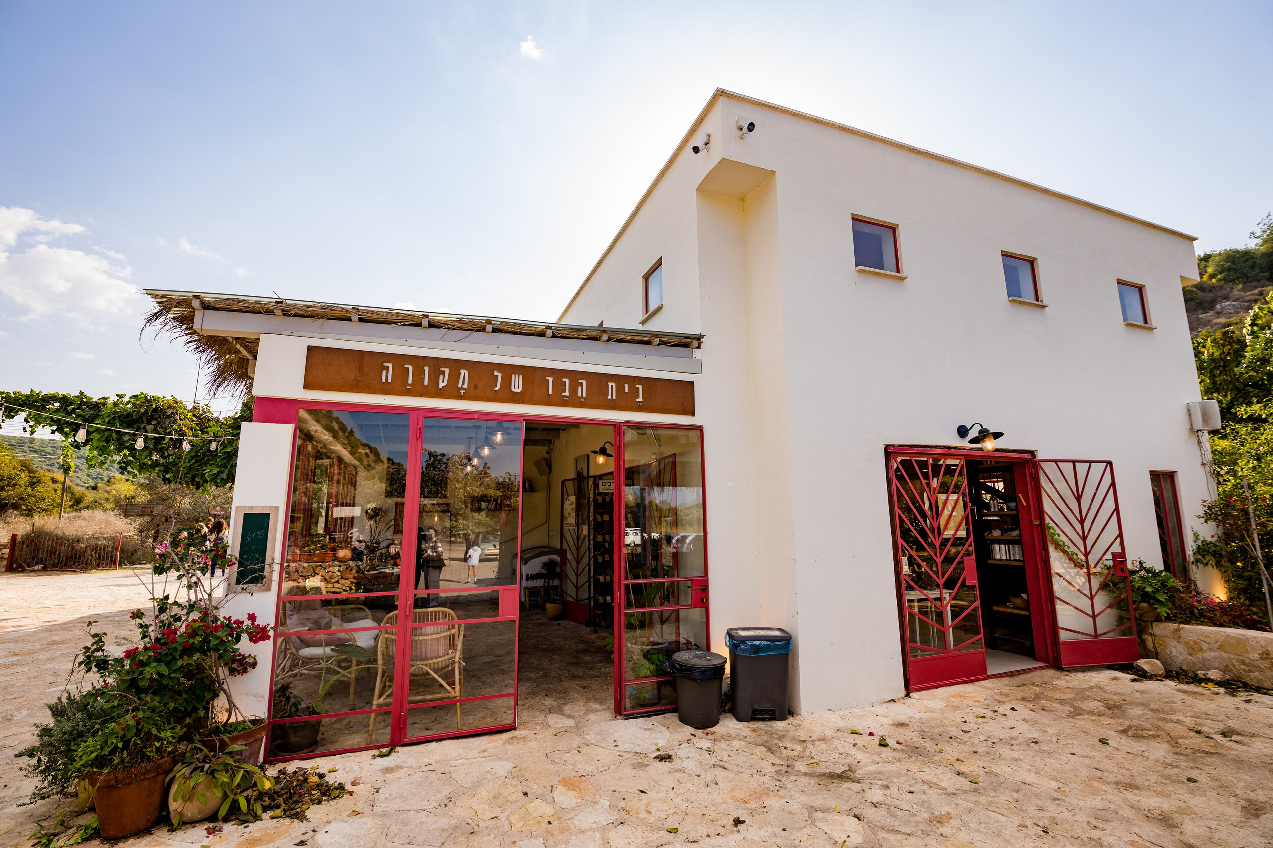 זרעי גדרה — SYNGENTA. AMIR BUCHNIK PHOTOGRAPHER