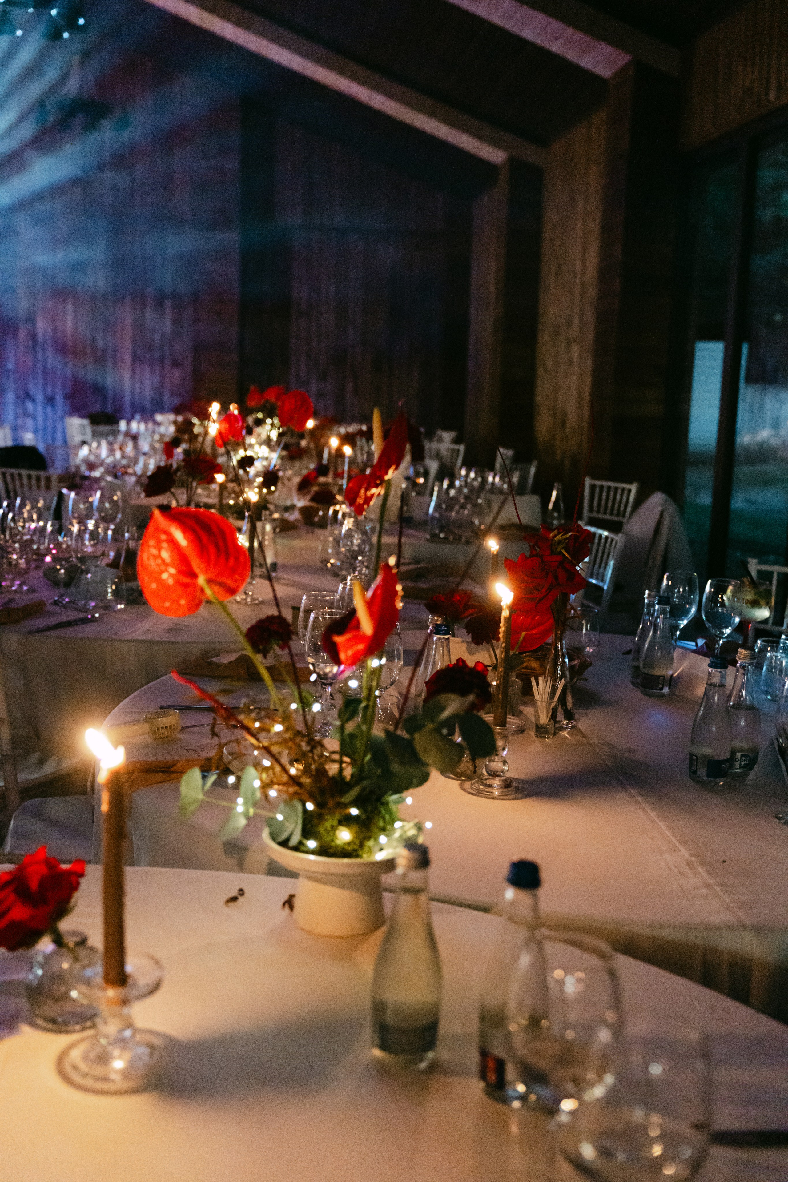 Corina | Alex. Gabrielacojocariu.com