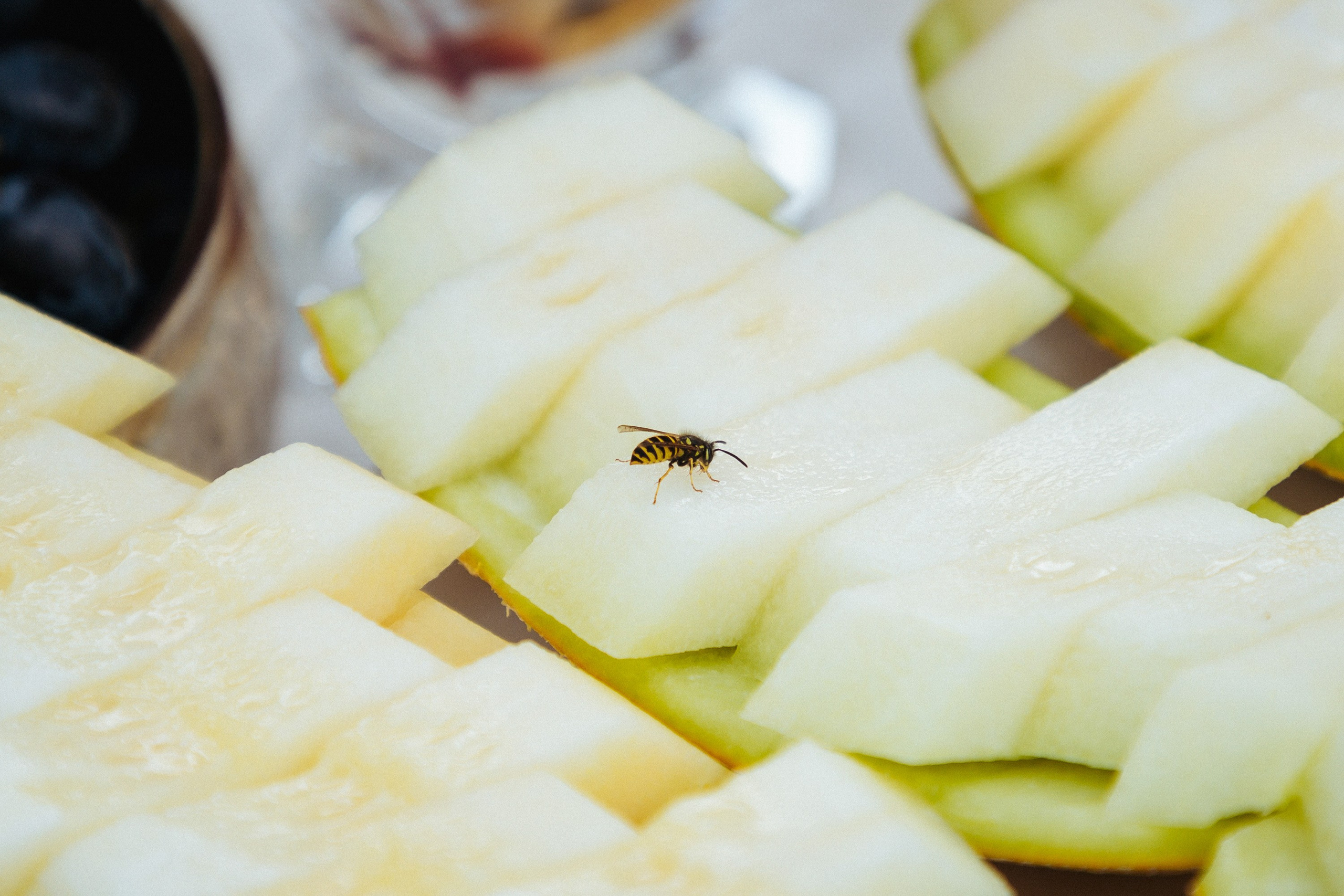 Leandra. Fotograf de nuntă și familie Chisinau Moldova