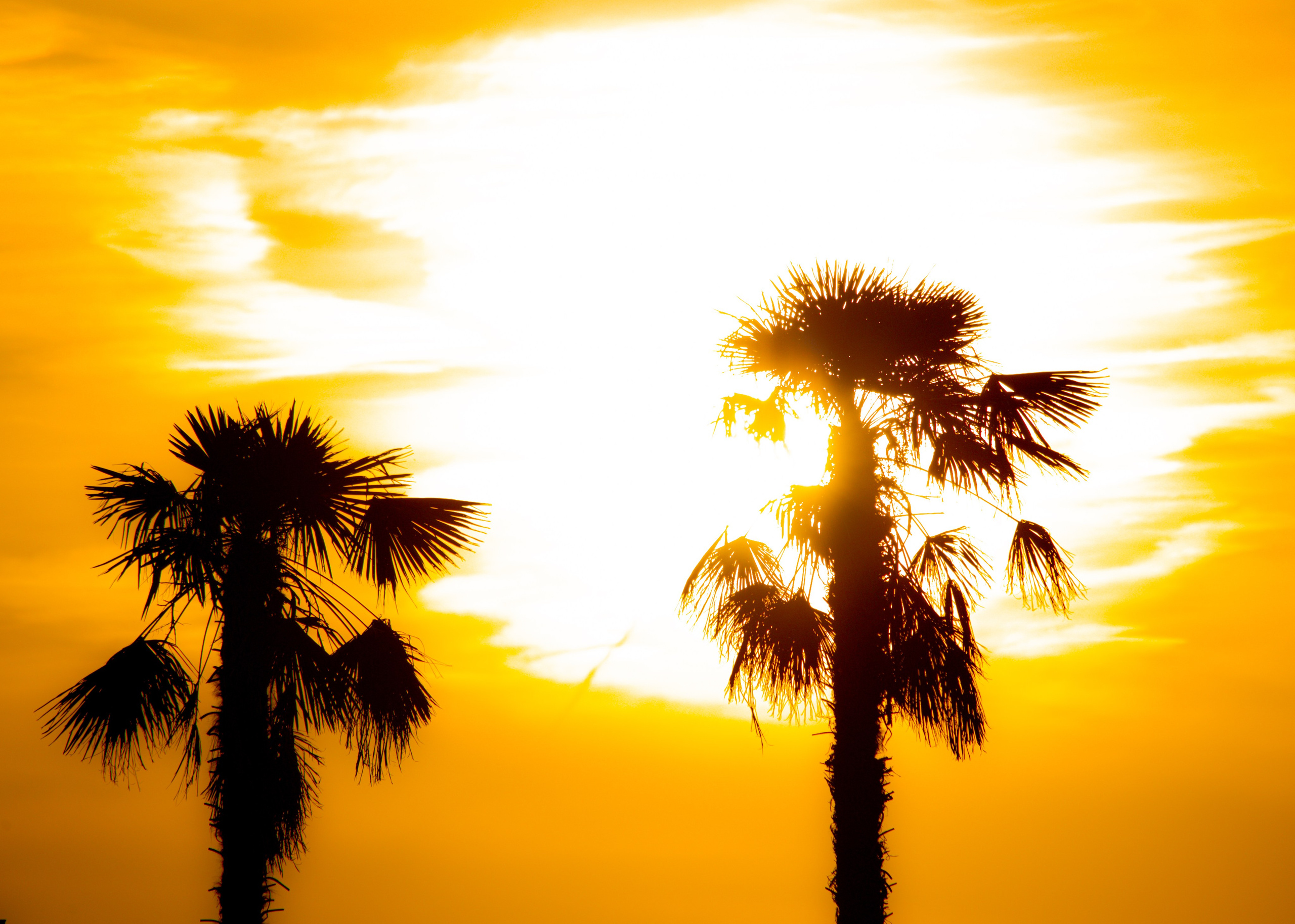 Urban. PHOTOSTORYNIKA