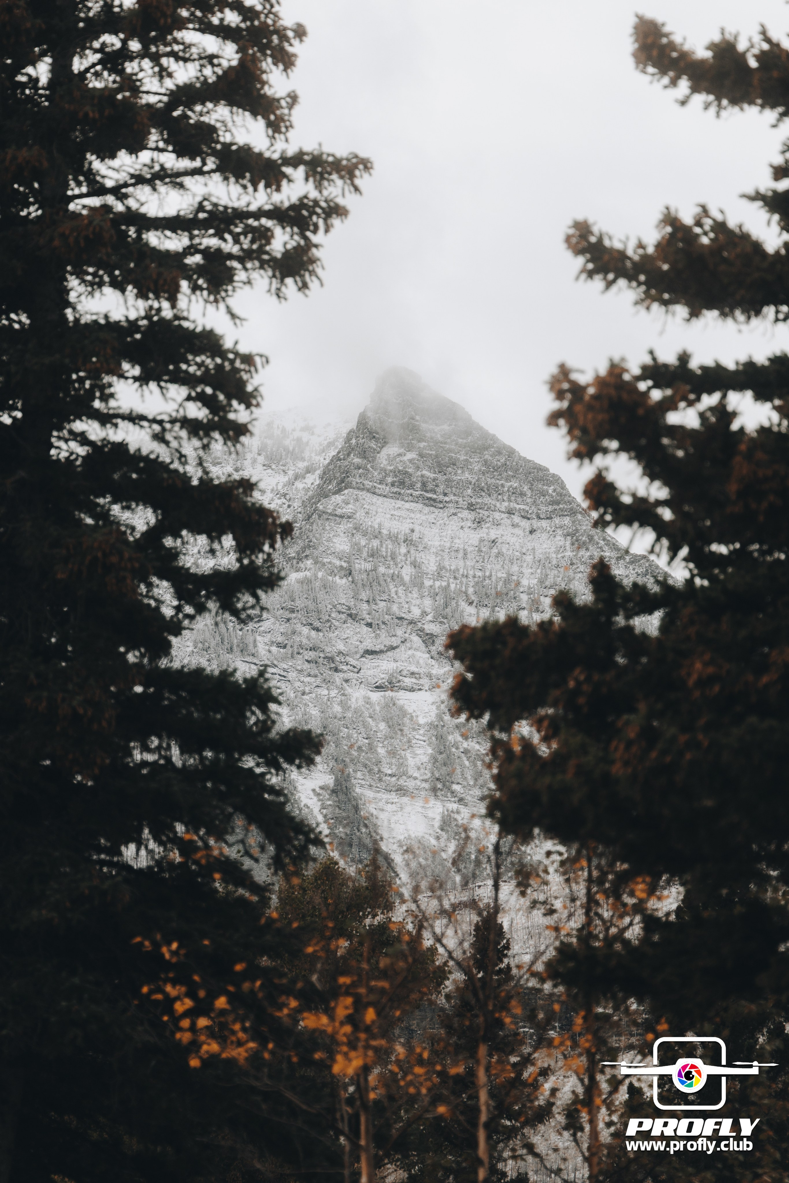 Travel Stories. ProFly.club — Professional aerial filming in Calgary