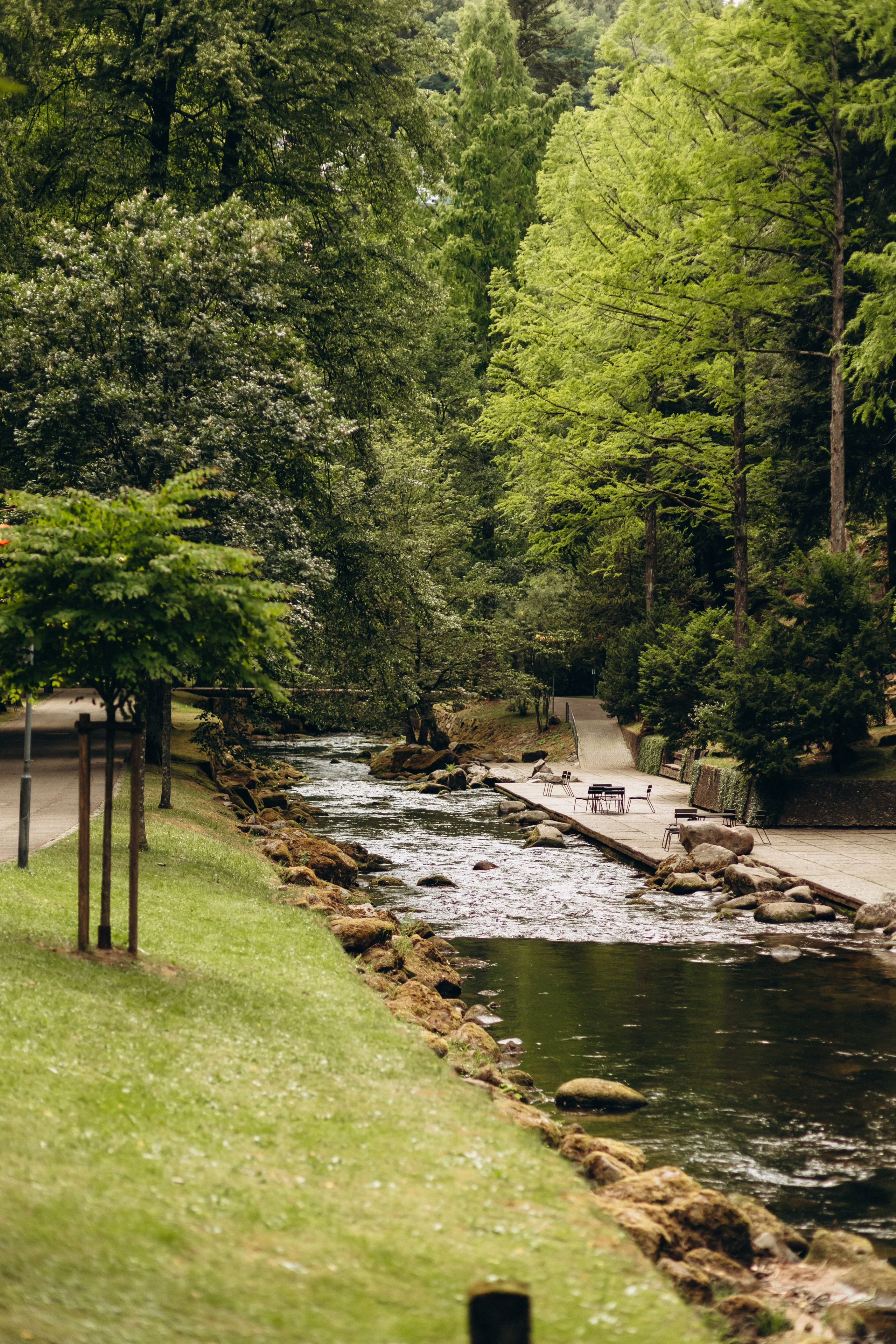 Sasha & Vika& Daniel. Wedding and Family Photograph