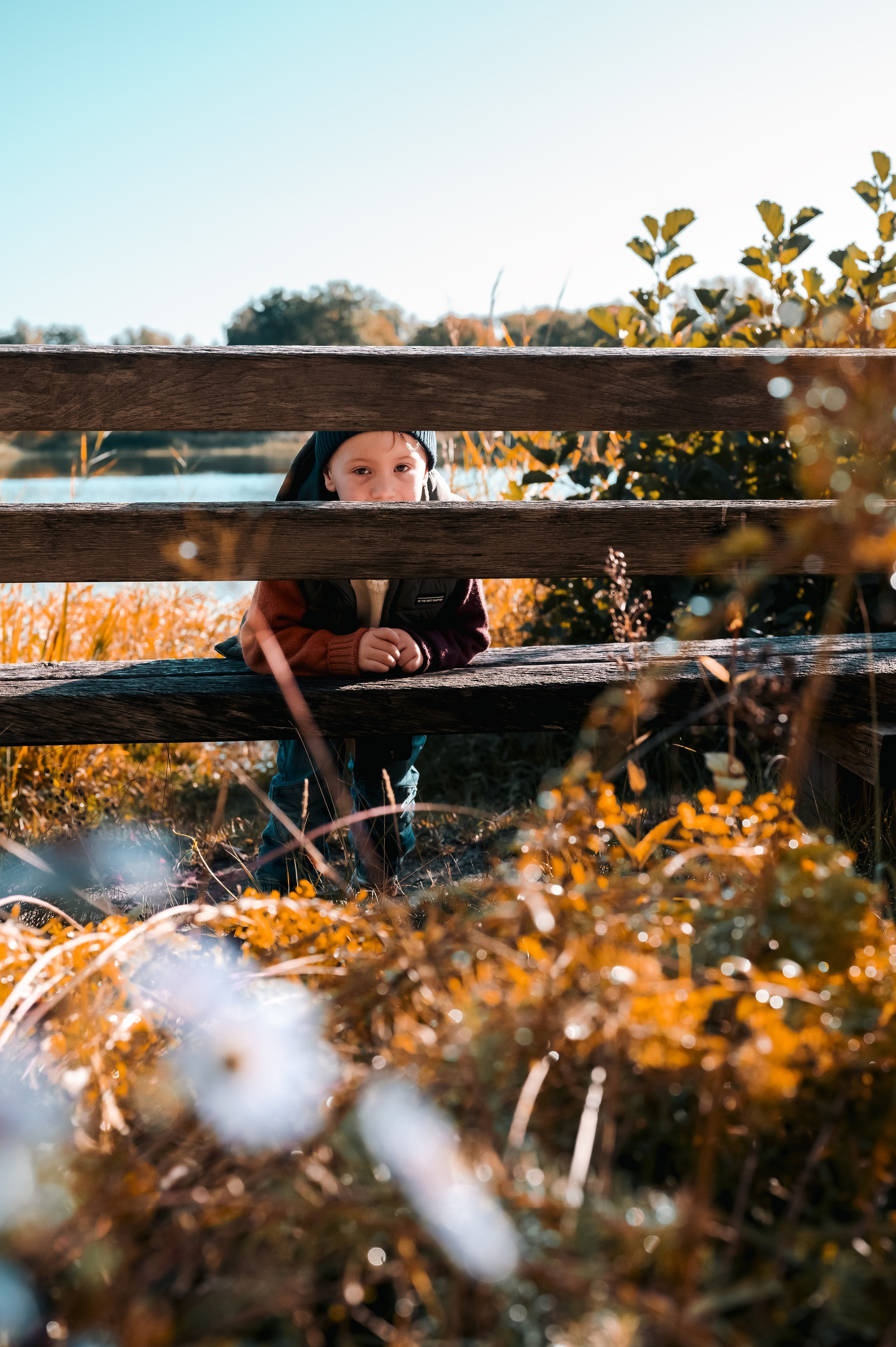 Fotograf in Berlin Brandenburg (Familien, Kinder, Paare, Hochzeiten)