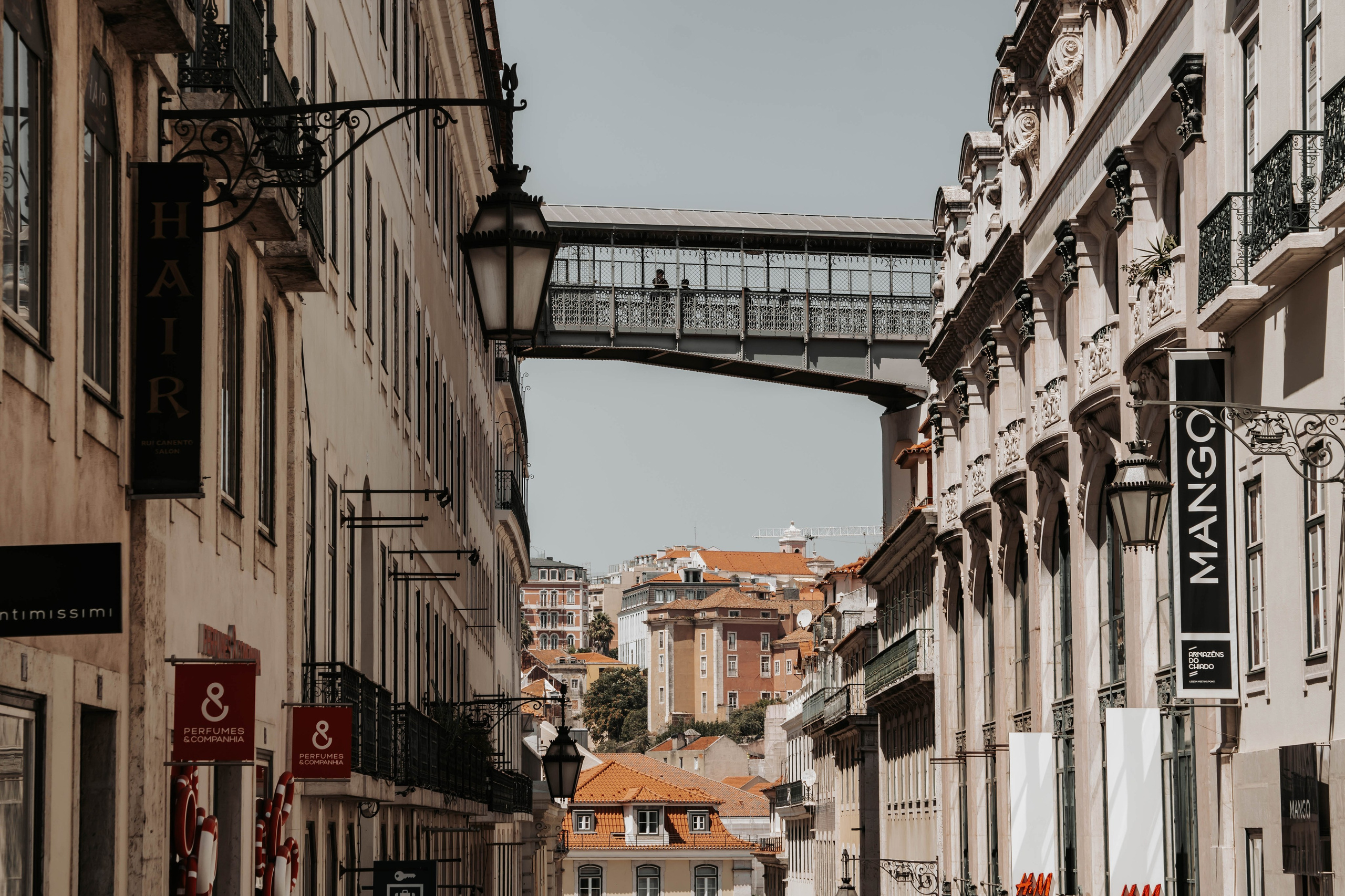 Lisboa, Agosto 2024. Alba del Norte Studio