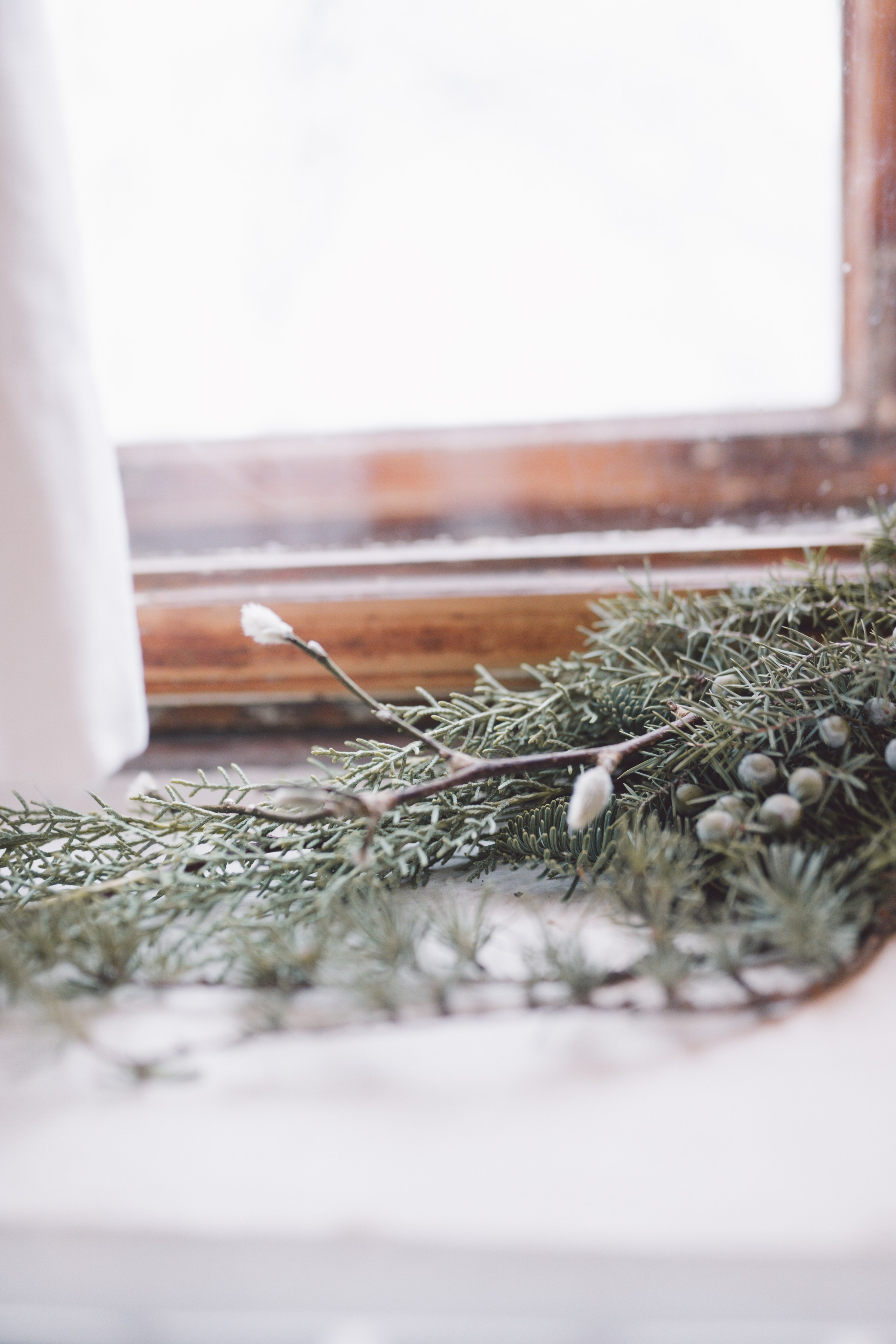 Fotografie de Eveniment Brașov: Povești Vizuale | Mădălina Beda. Madalina Beda- Artist vizual, fotograf, doula la nastere, consultant babywearing Brasov si in toata tara