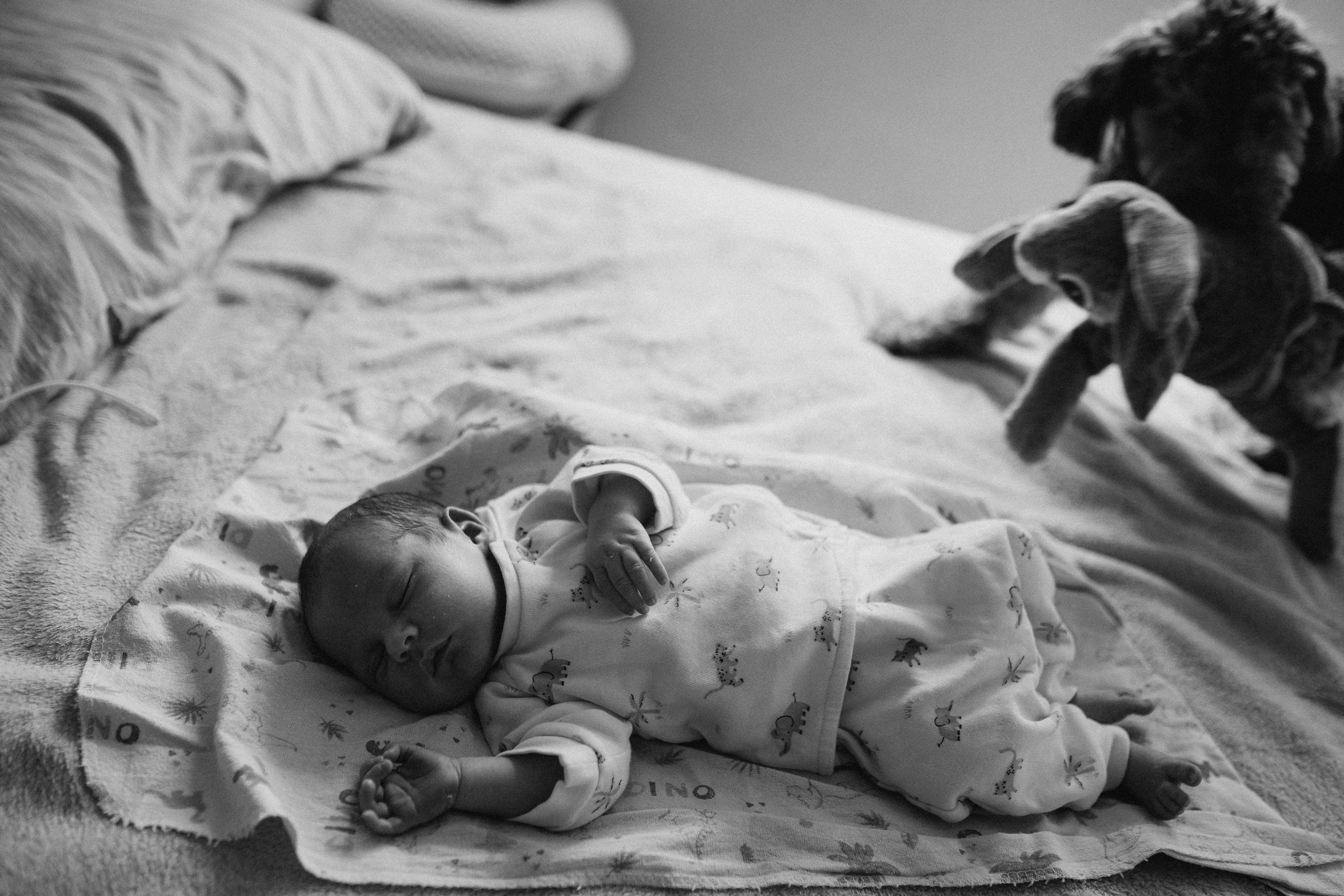 7 dias do Felipe. Fotografa de família e crianças em Florianópolis SC Daria Ermolaev