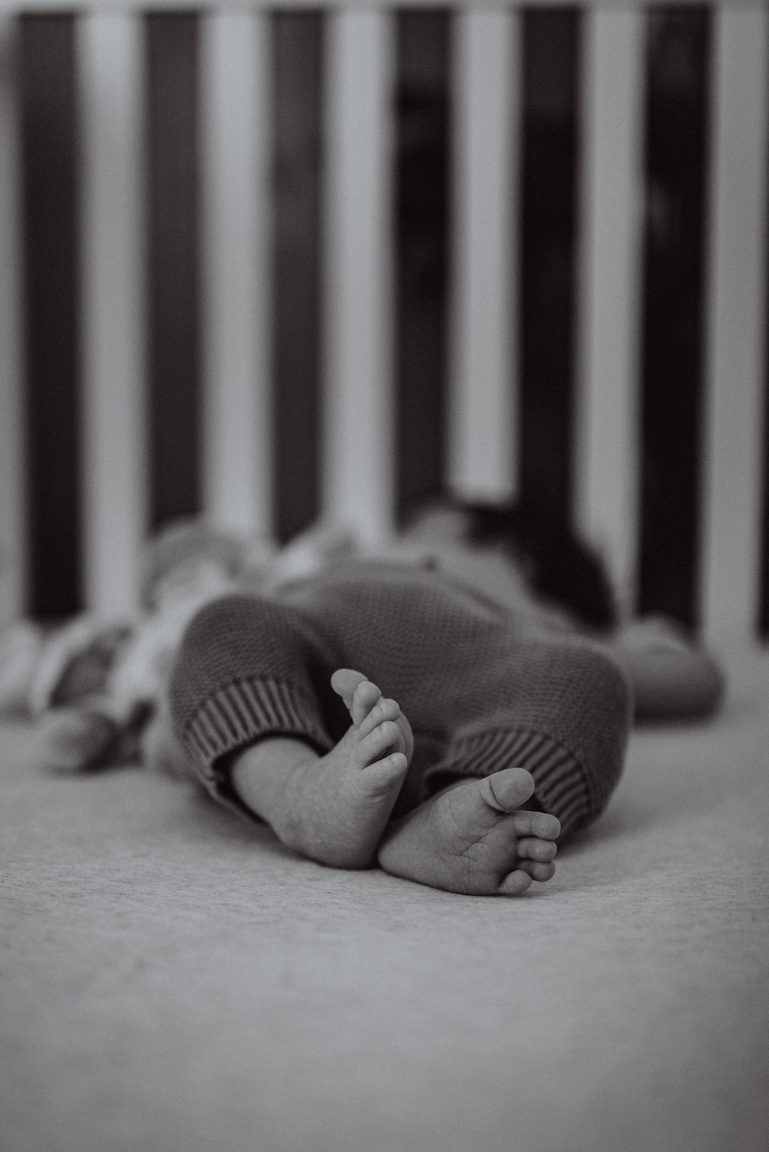 Newborn photo shoot in Appleton.