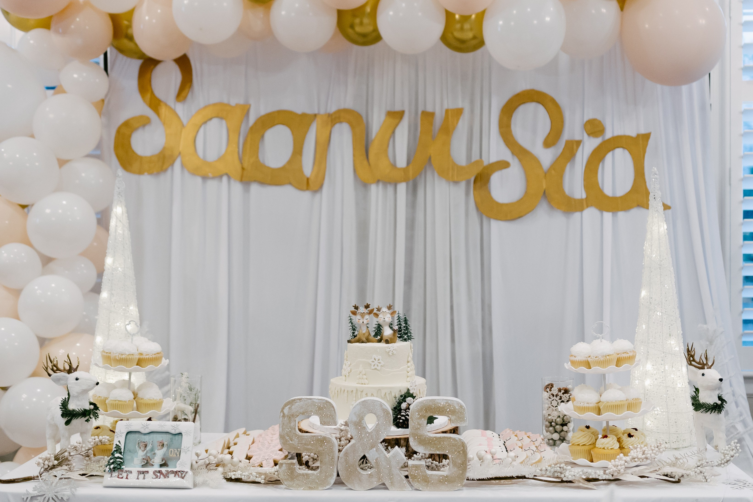 Twins Birthday. Sara Eulalia | Virginia Photographer