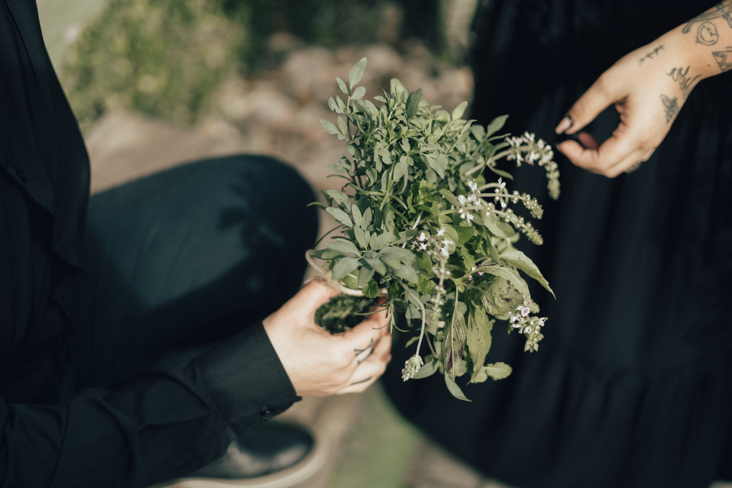 Carol&Carol. Sara Eulalia | Virginia Photographer