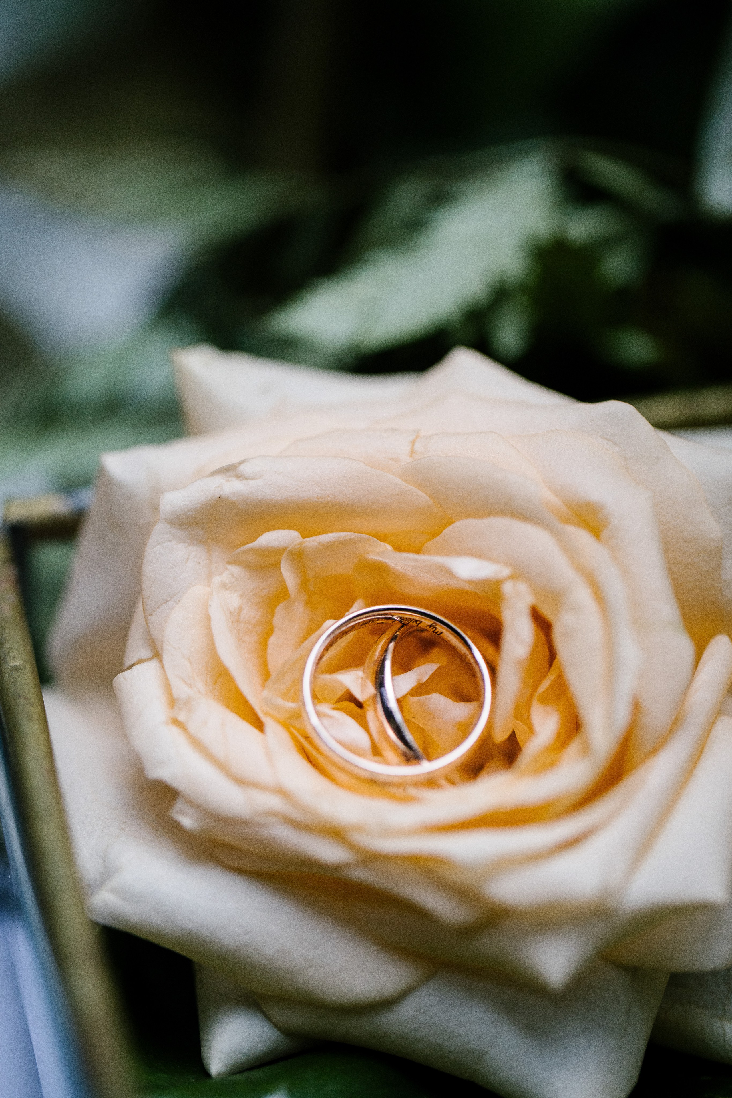 Kamau & Siobhan. Get.it.feel — Aesthetic Photography and Videography