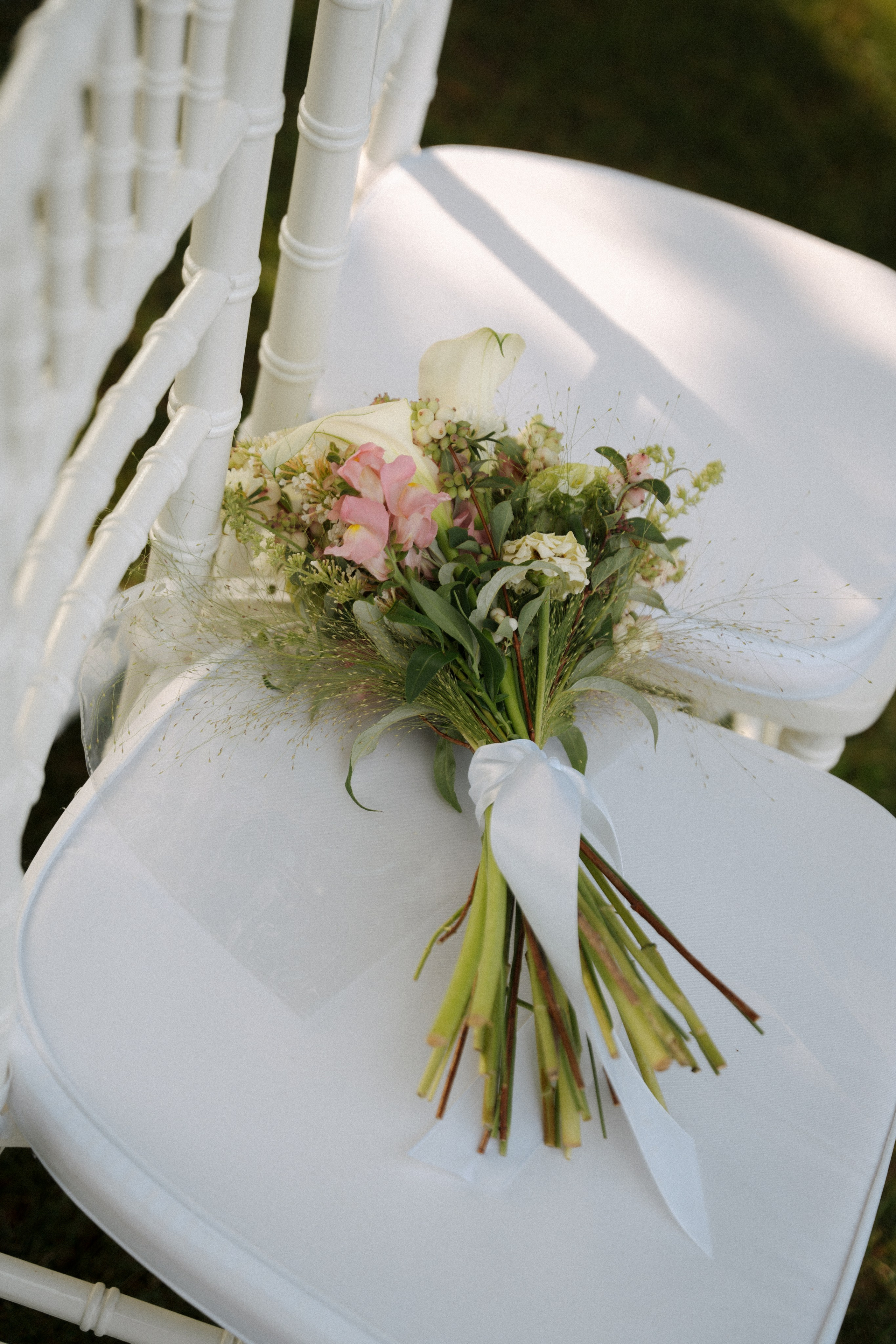 Vanda és dani album. Csilla visuals