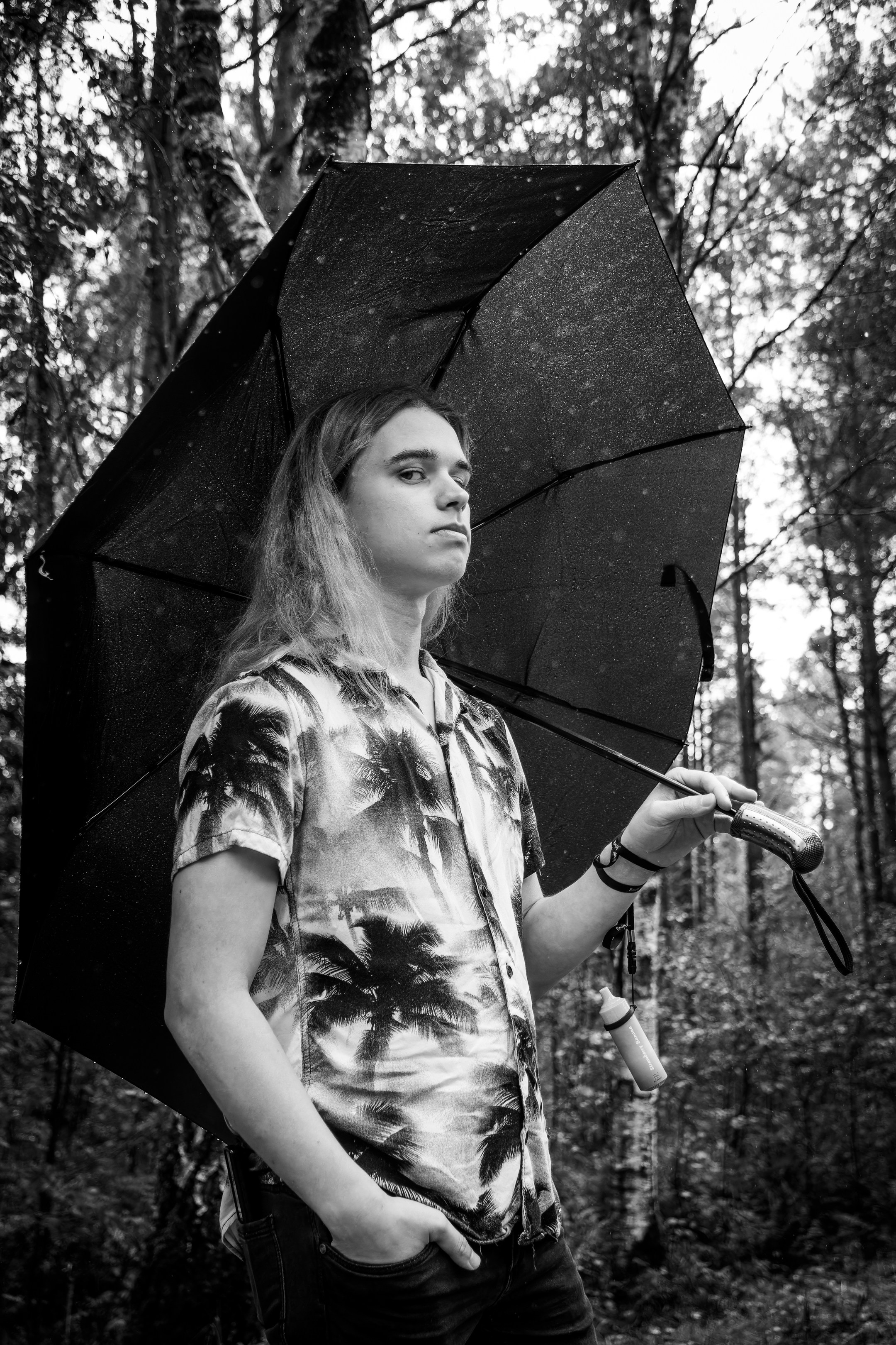 Mets, vihm ja jahedus (Dimitry). Nebula 25 — Fotod teie hingele