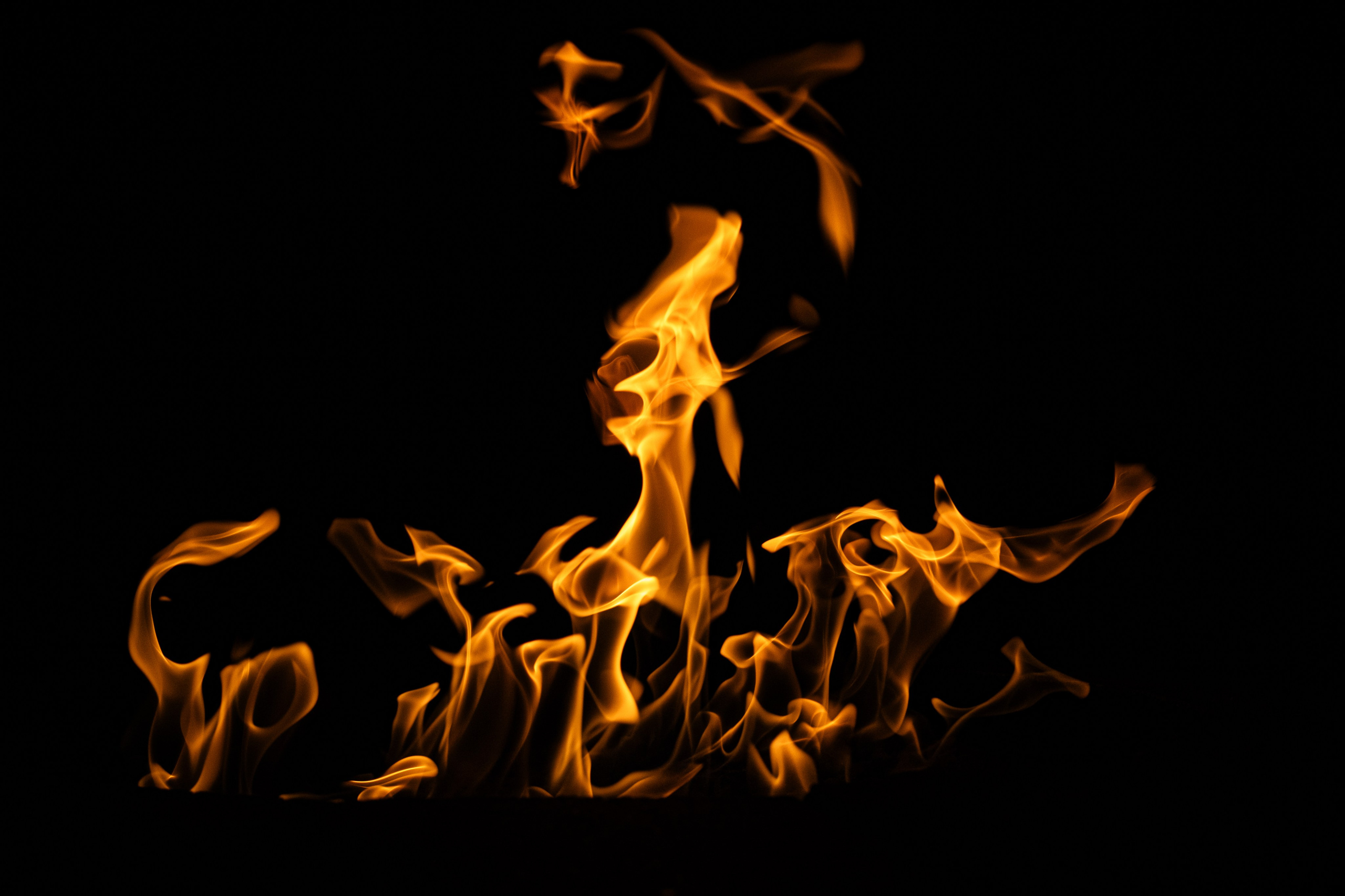 VATRA. Reportage concert portrait photography in the San Francisco Bay Area