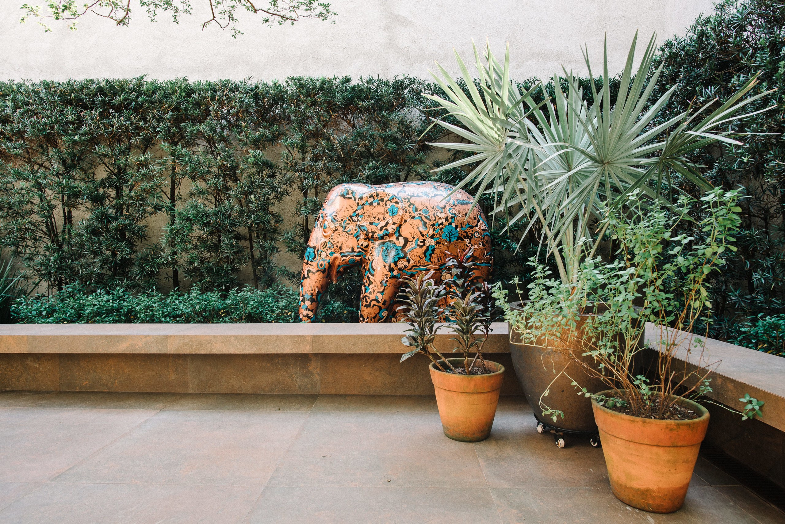 Carla Bonotti. 78 Imagens