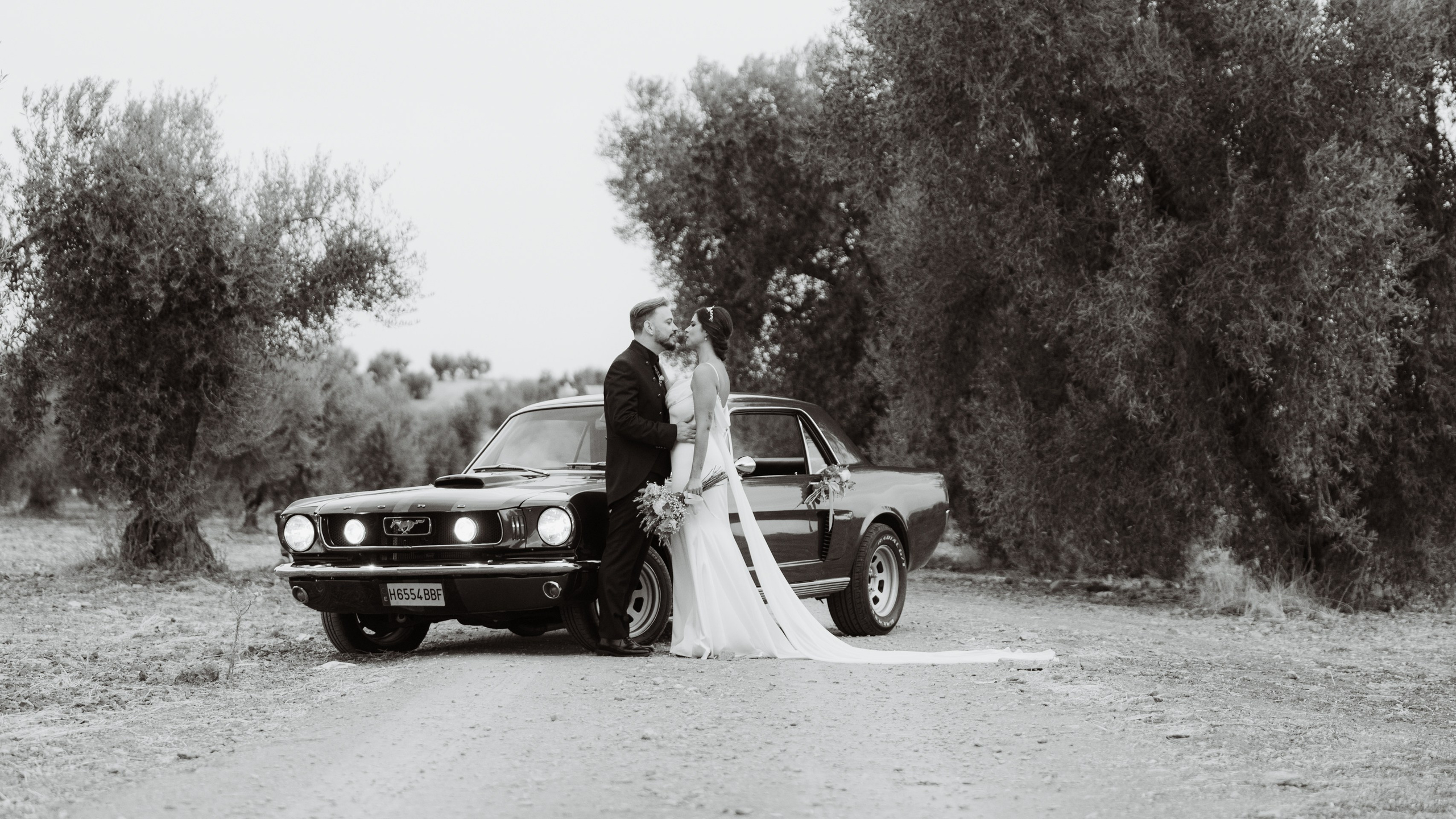 Aitor & Tania. Alianza Weddings - Fotografías y vídeo de bodas