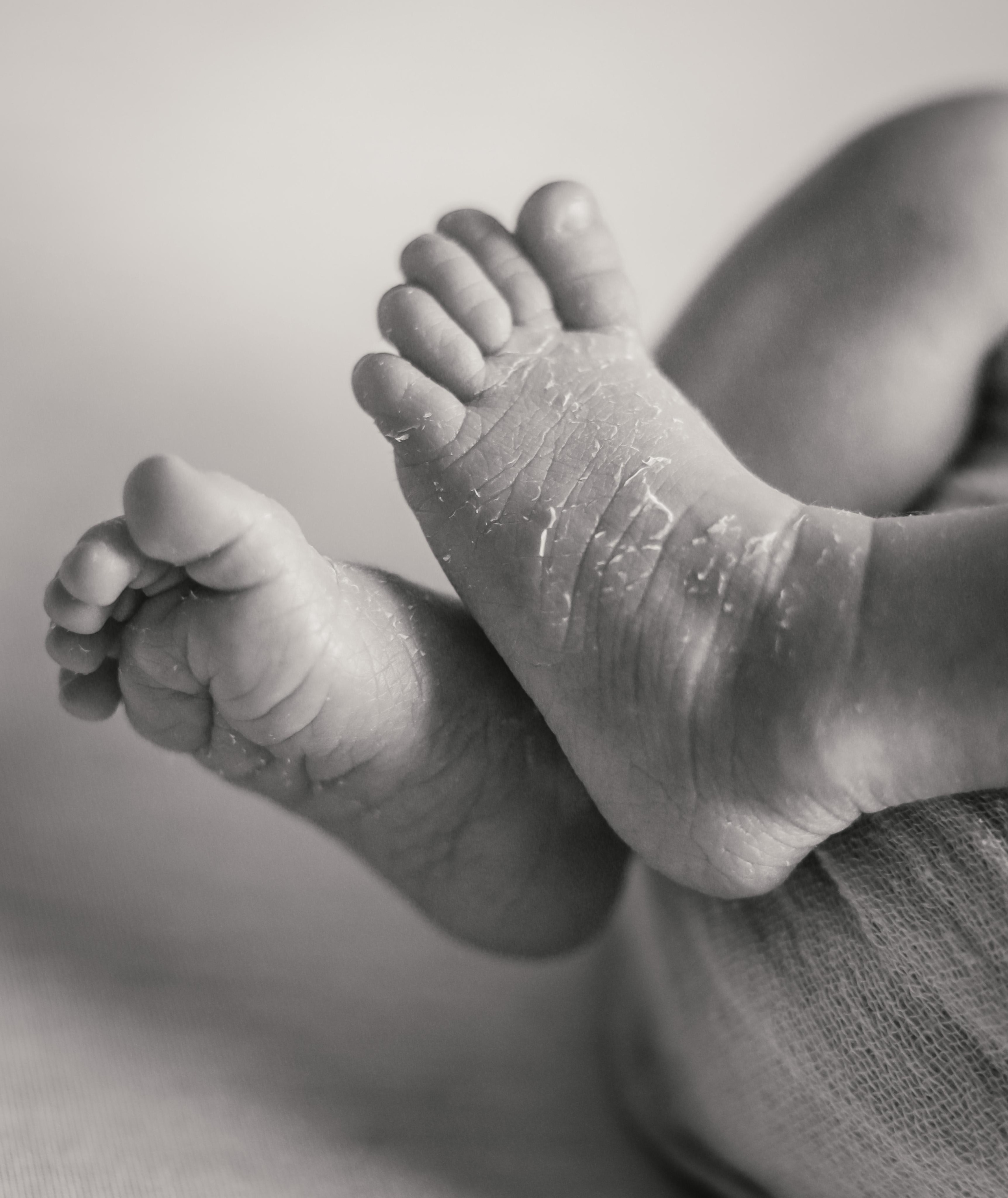 Family and newborn photographer