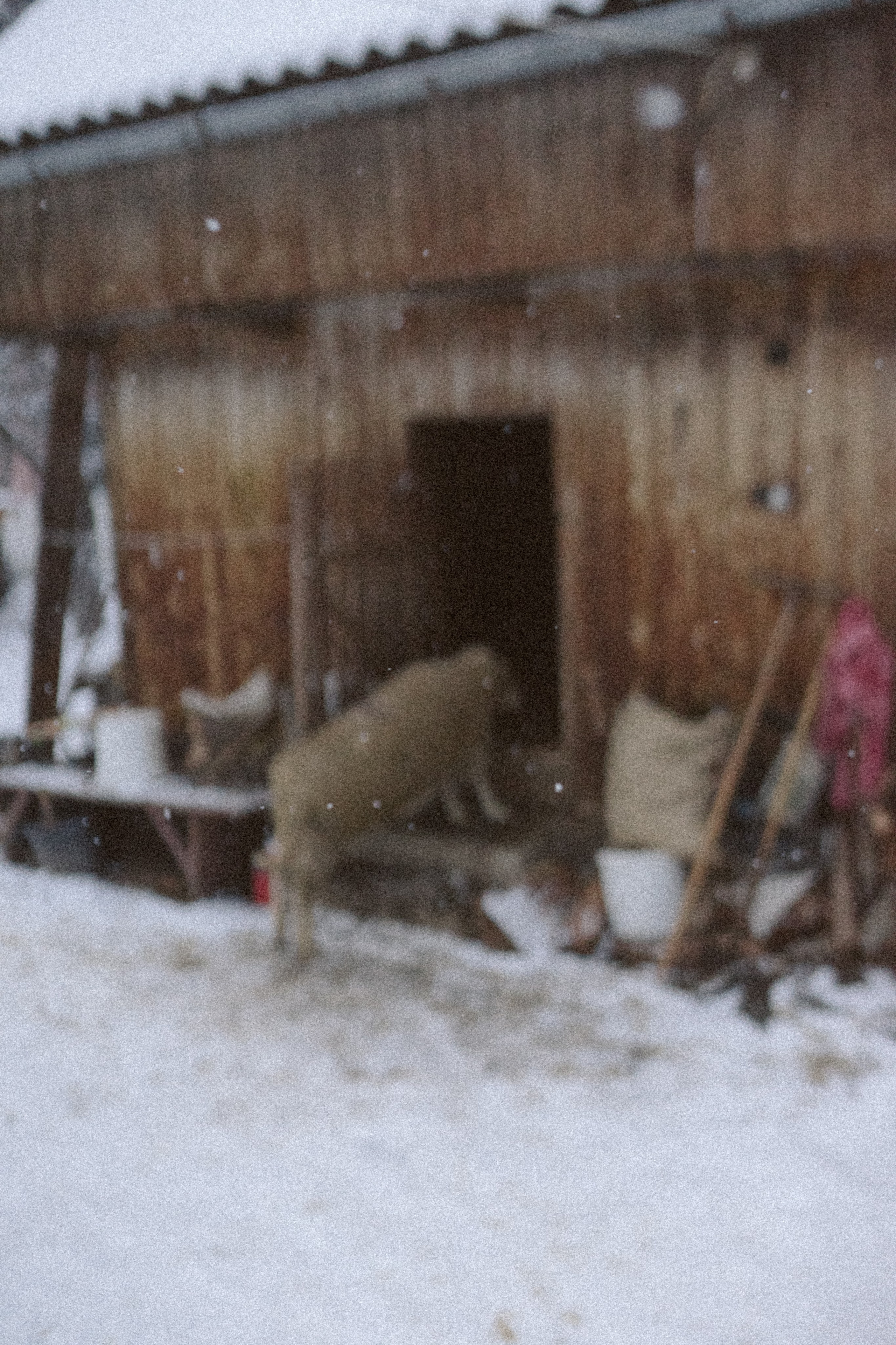 Review Manduca XT: Experiența mea de mamă | Mădălina Beda. Madalina Beda- Artist vizual, fotograf, doula la nastere, consultant babywearing Brasov si in toata tara