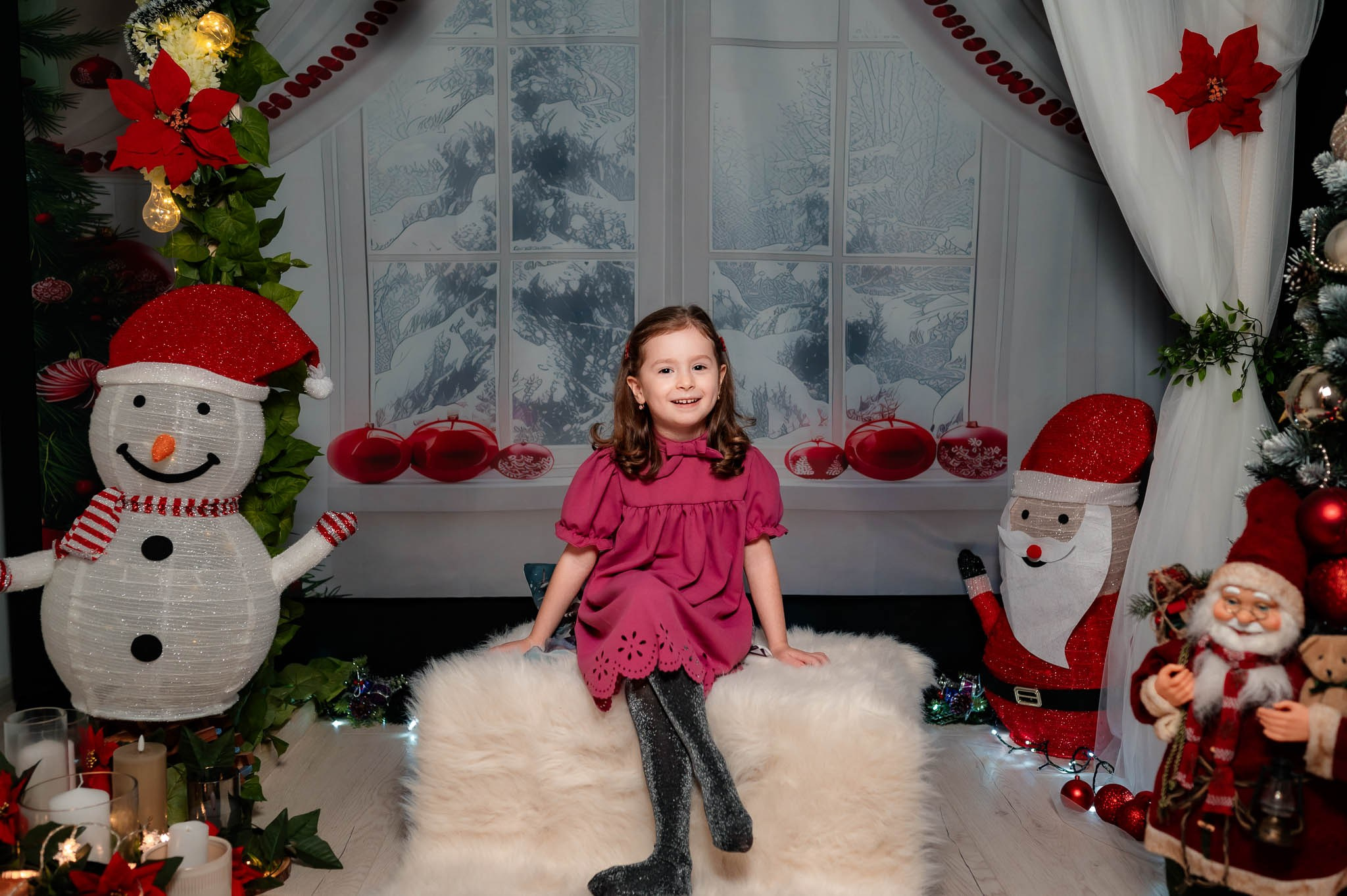 Sedinta Craciun Nicoleta