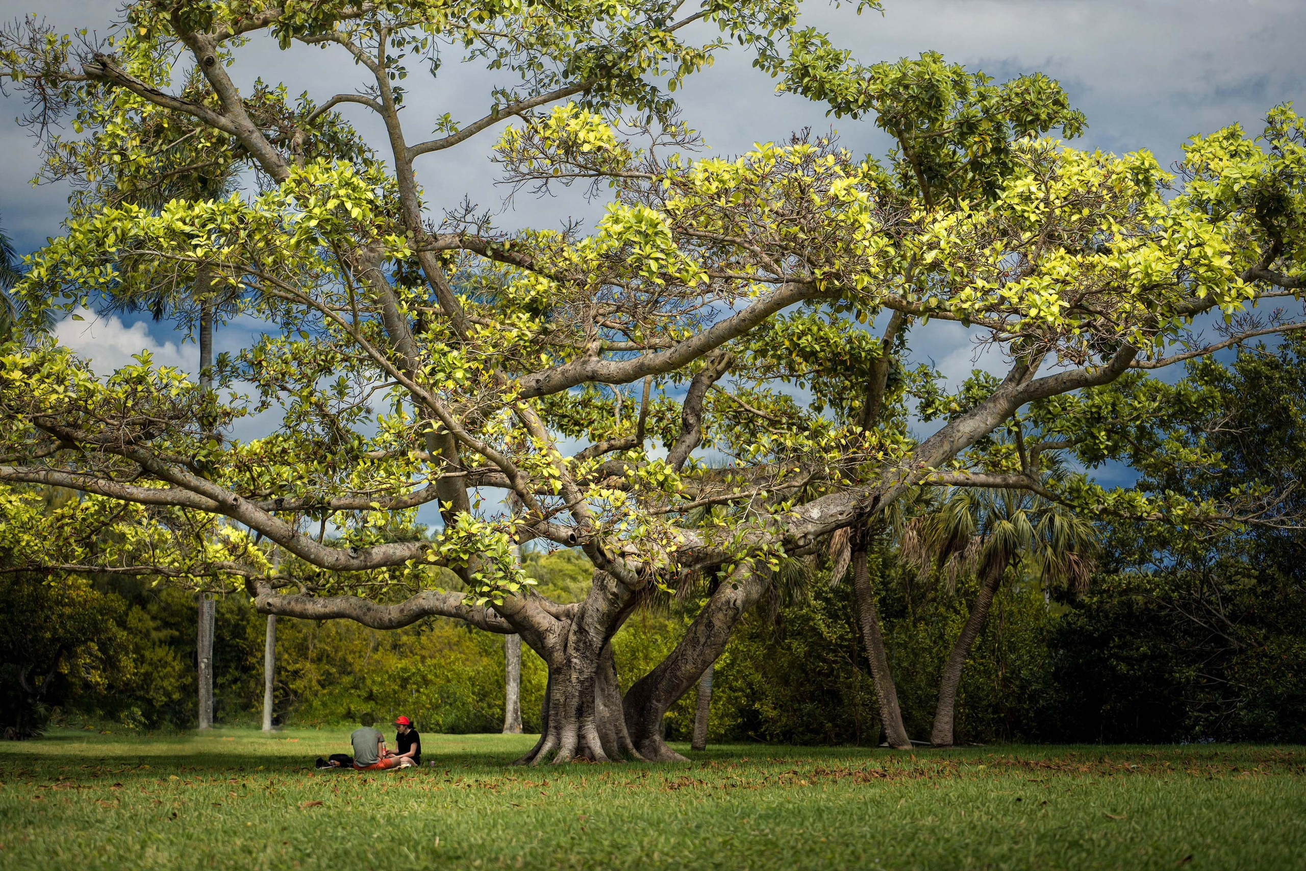 Florida. Beena Films