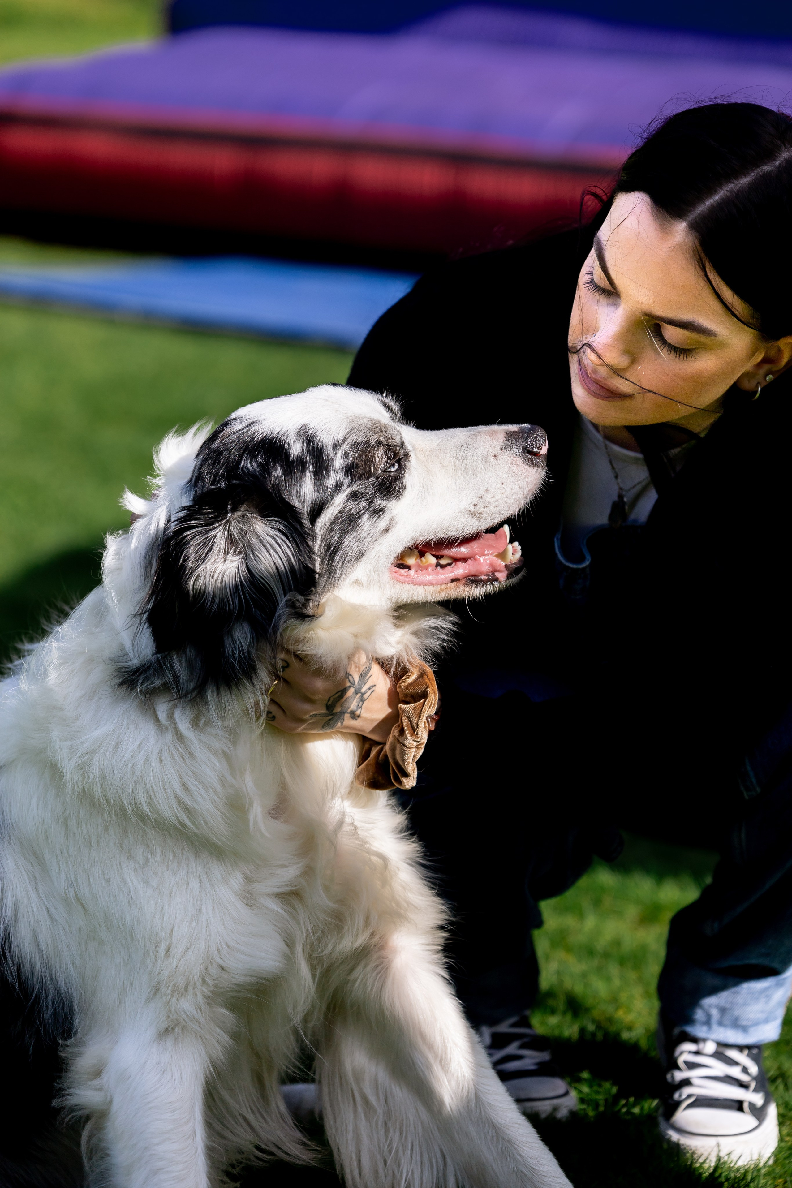 BobFest'23 in 2 days — TRUE LEGEND. September, 2023. Timeless Wedding & Event Photography from London to the world