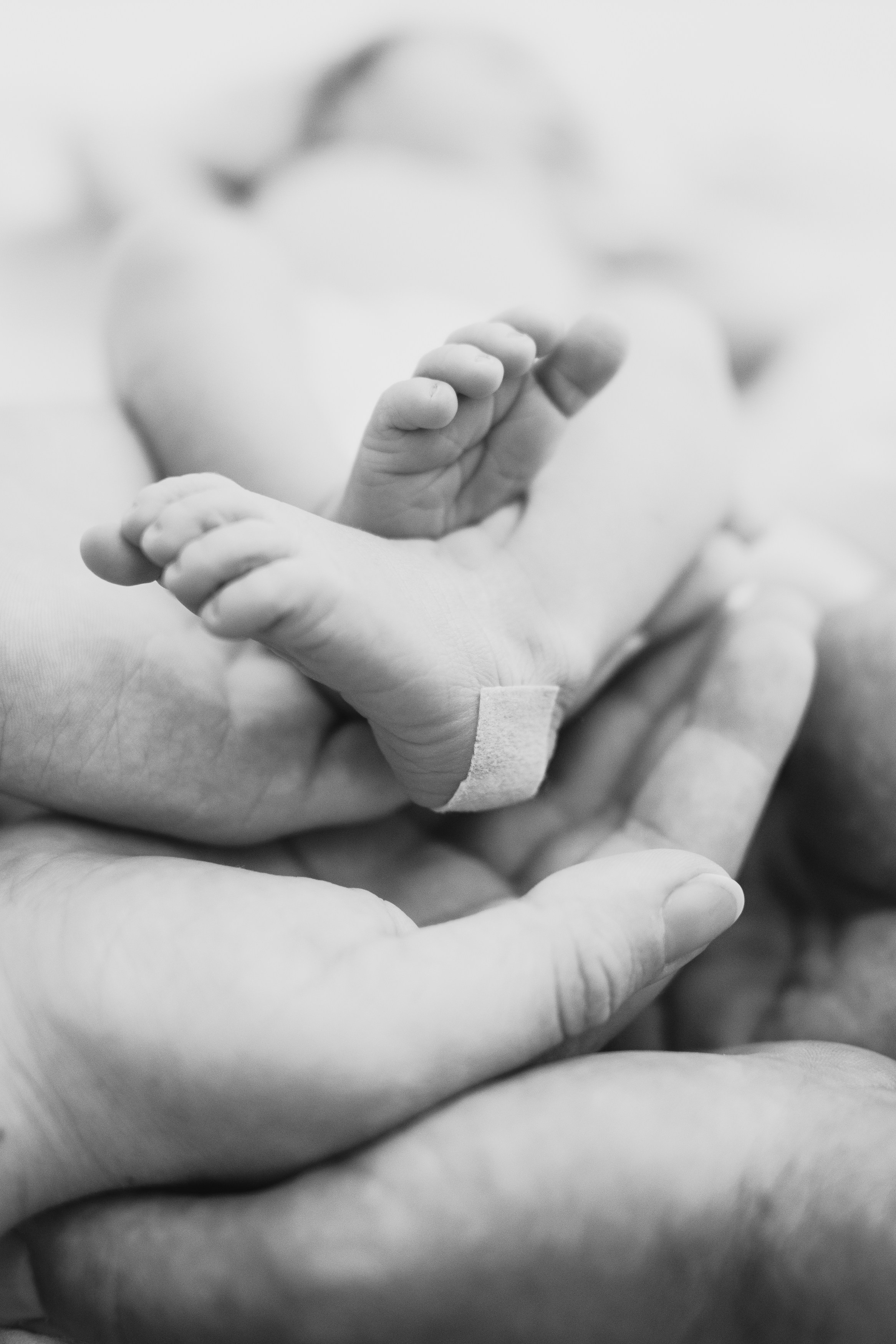 Fresh 48. Fotografka Andrea Hlaváčová / Karlovarský kraj / Karlovy Vary Sokolov