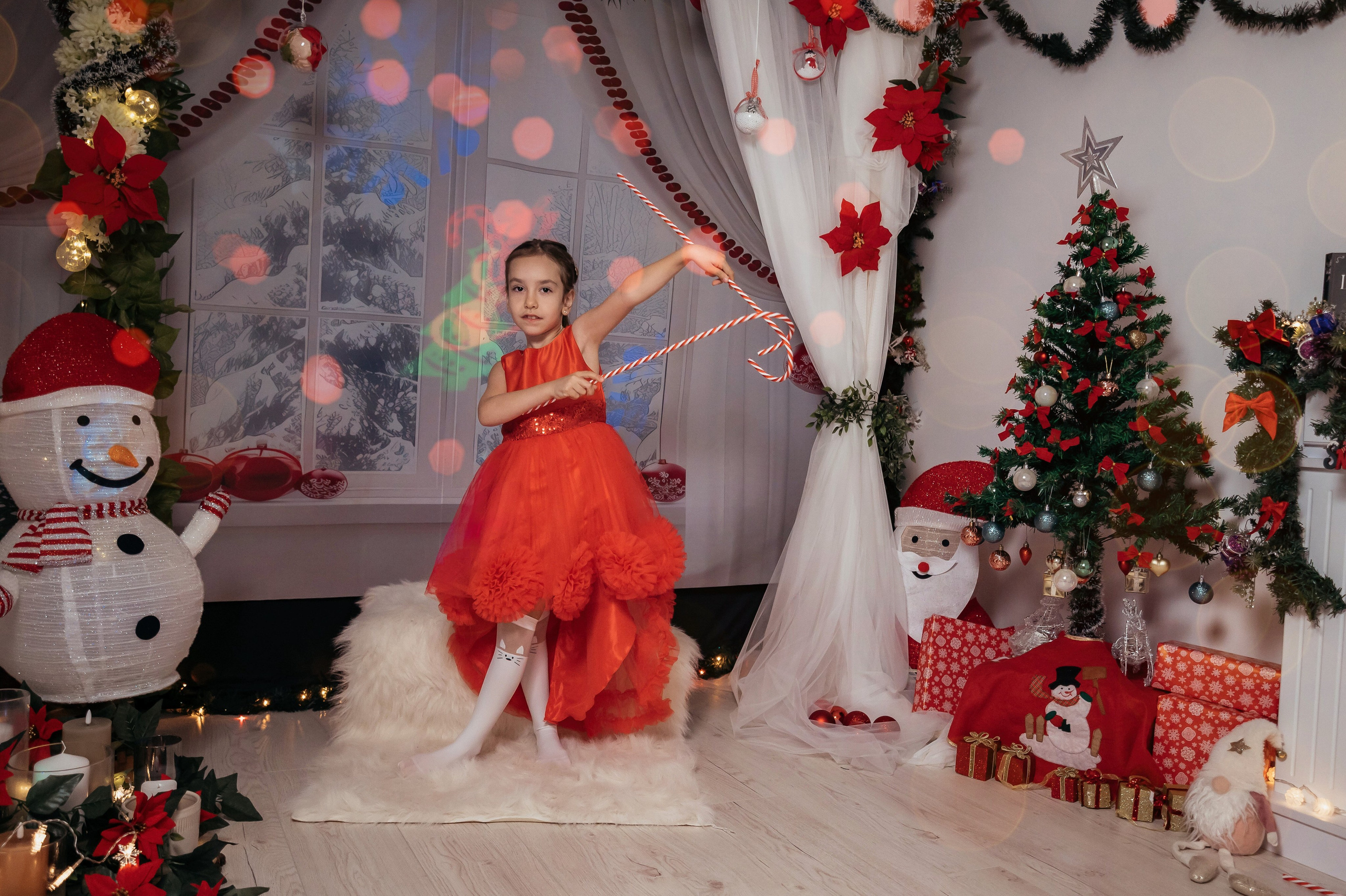 Sedinta Craciun Sofia