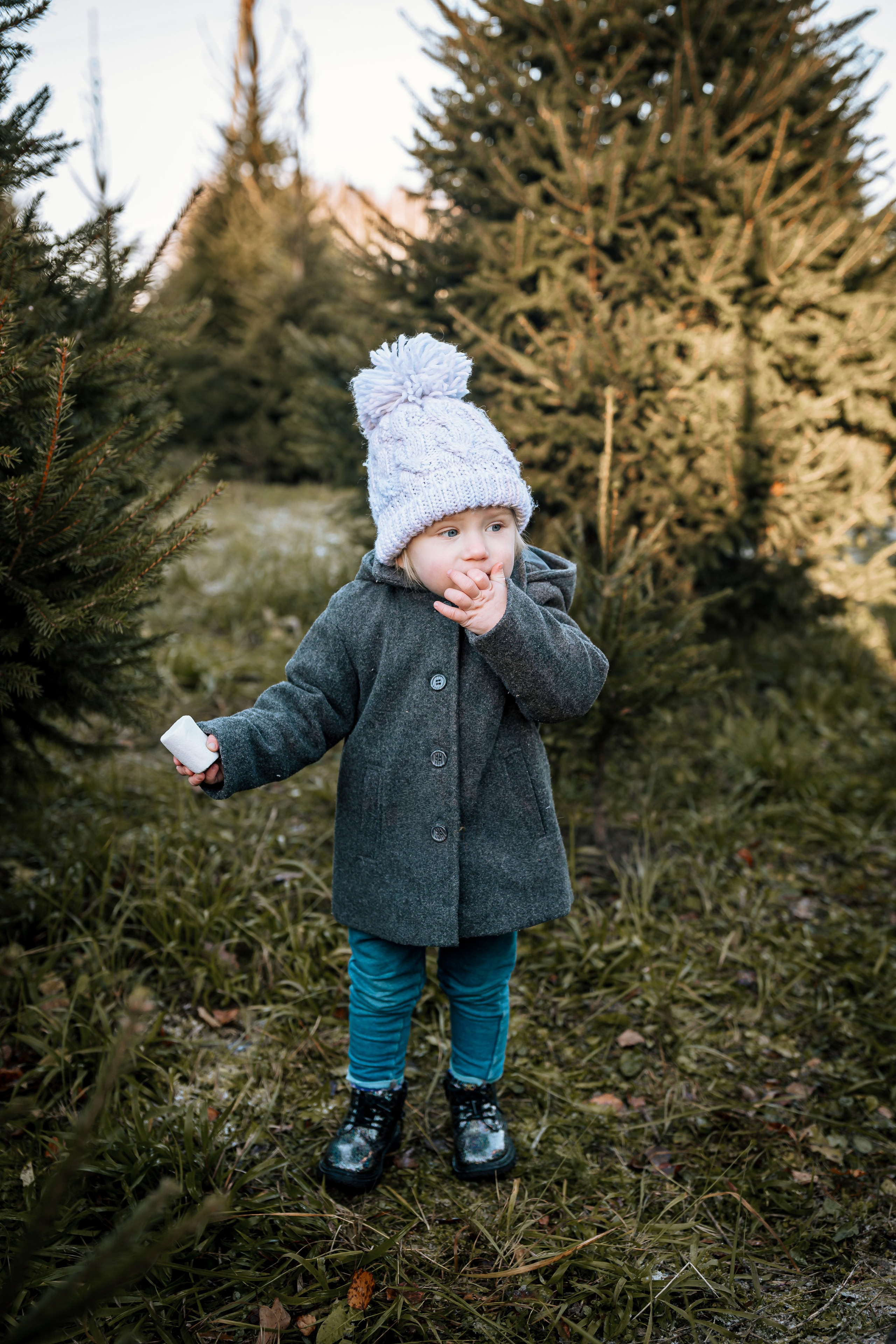 Ziemassvētki eglīšu audzētavā. Home