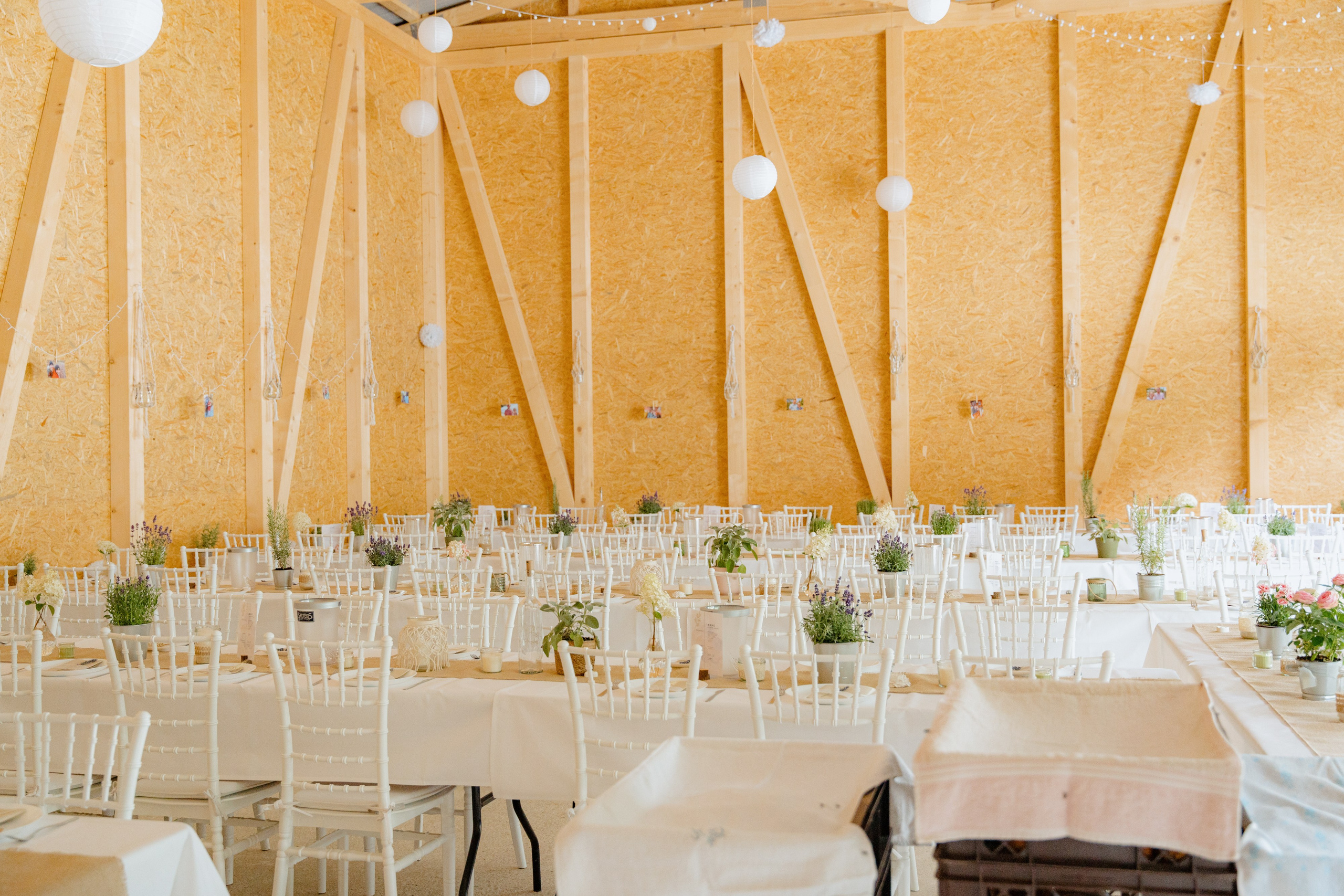 Anika & Niklas, Fischbach. Fotografin in Bad Hersfeld