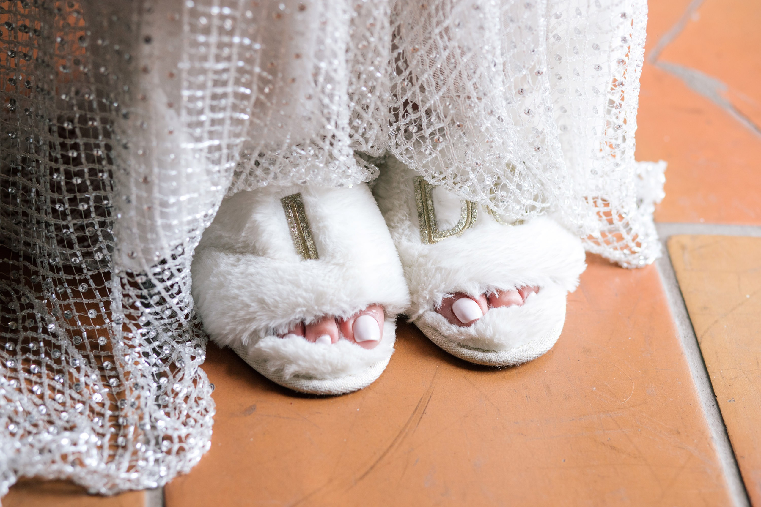 Preparativos /Getting Ready. Principal