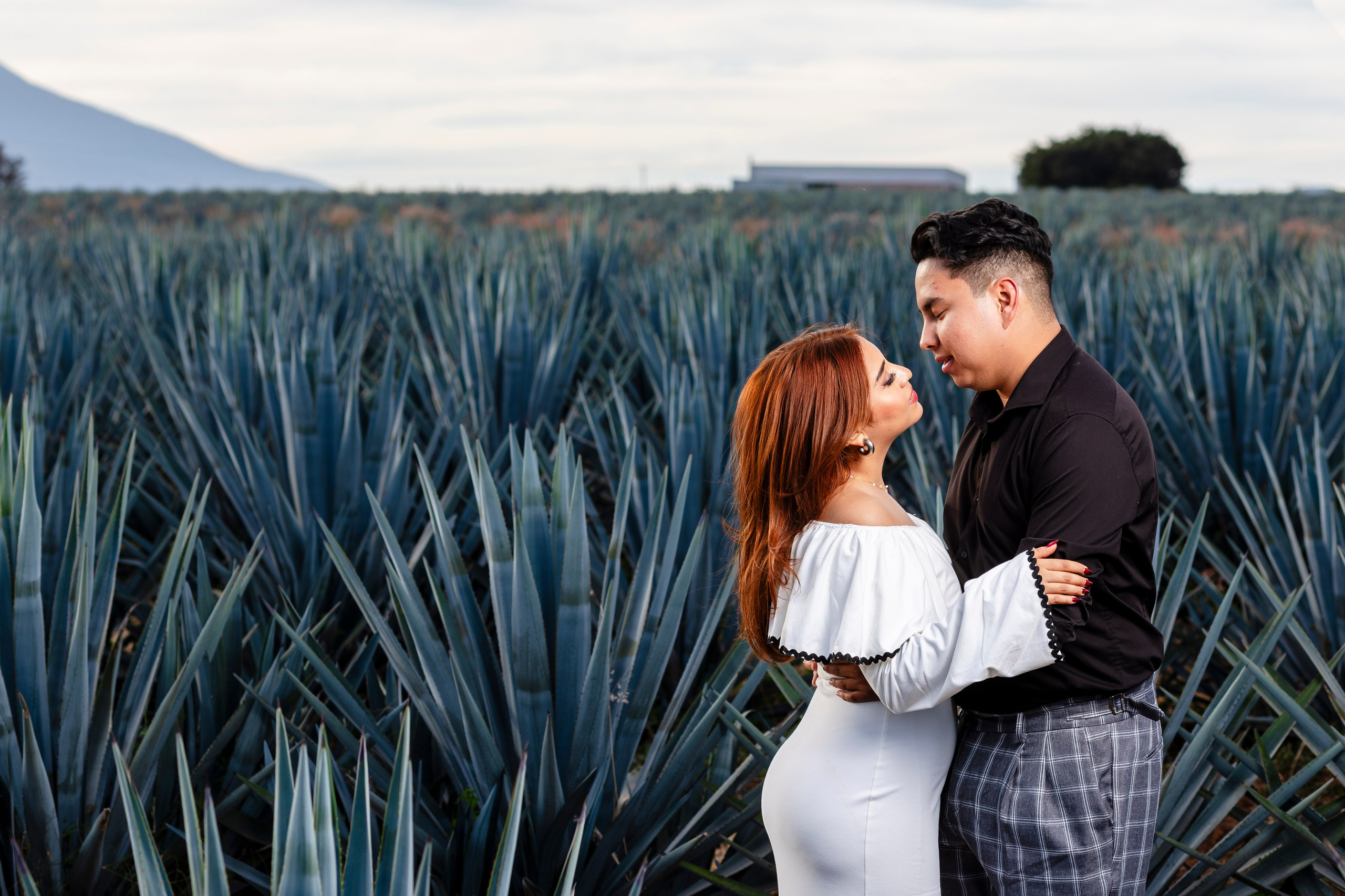 Nancy y Axel. Wedding Photographer Ruth Preciado