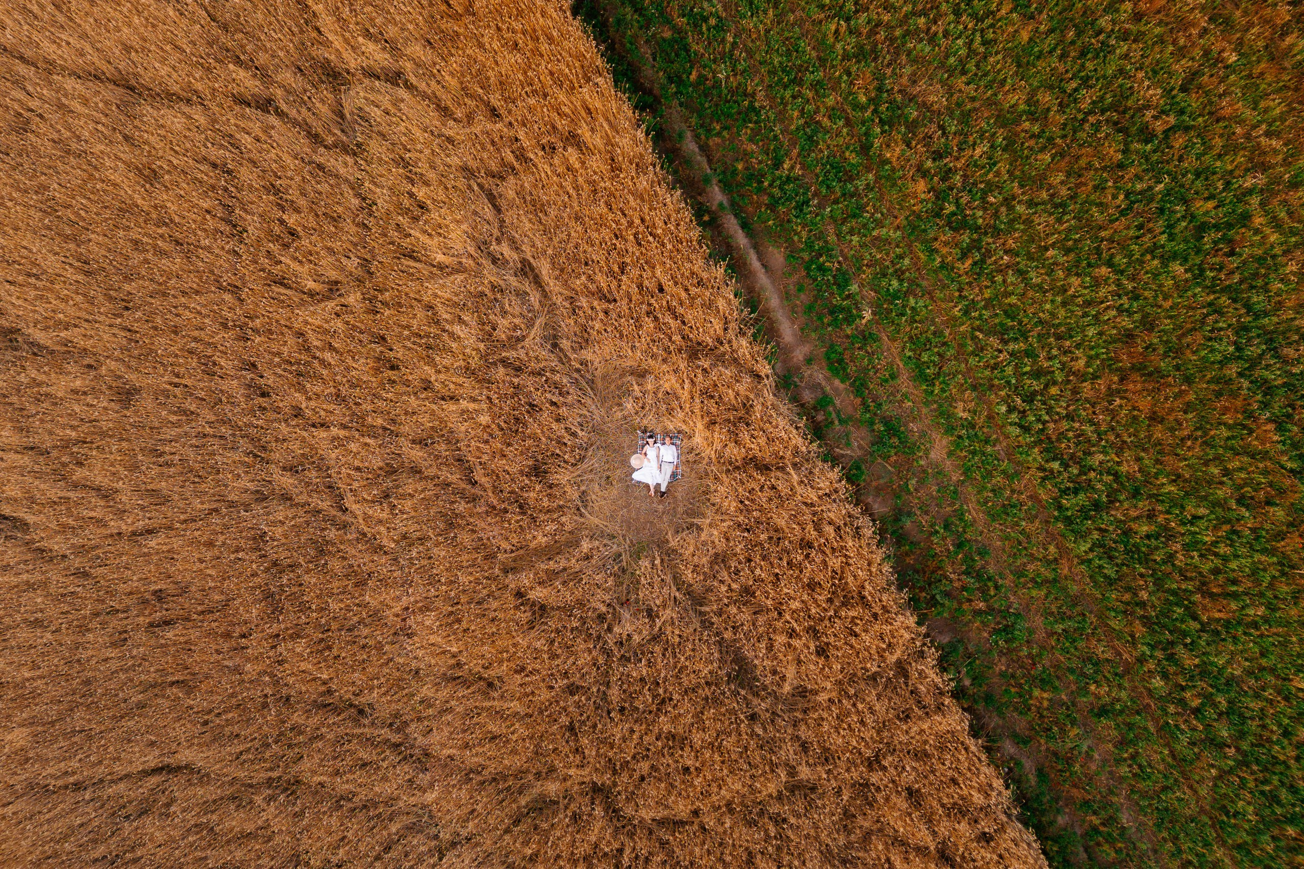 Wiki ♡ Przemek. Fotograf Ślubny Warszawa - Sesje Biznesowe Rodzinne Eventy