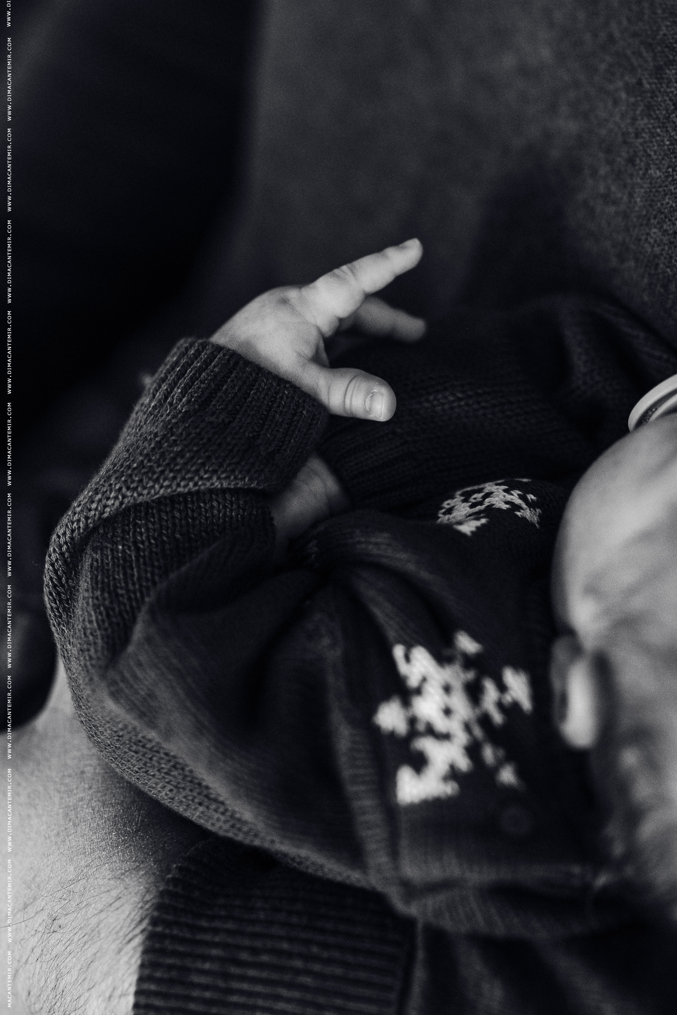 Family CRACIUN STUDIOU. Fotograf de nuntă în Chisinau, Moldova. Poze și Video Comerciale