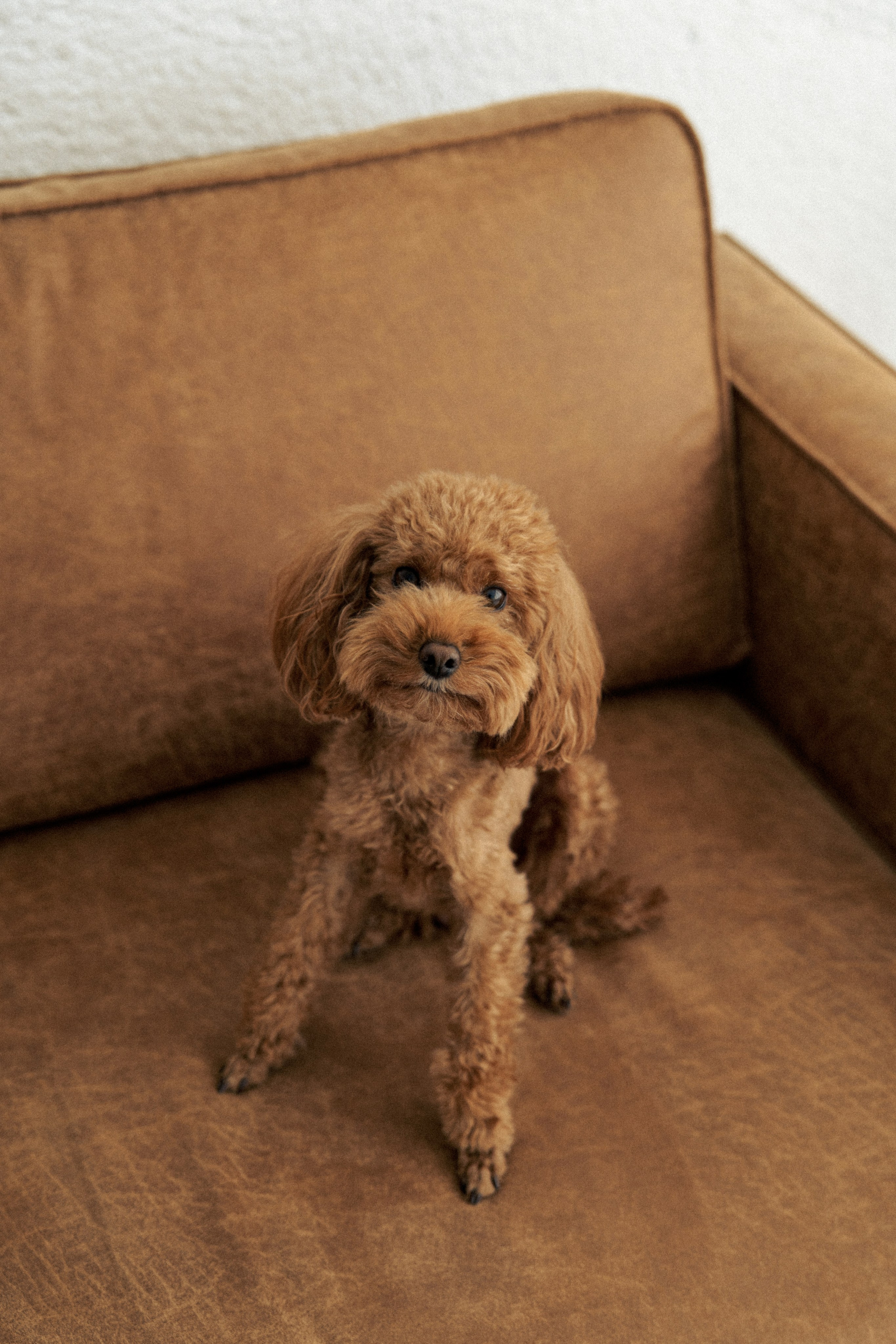 Silvijos & Valdo šeima. Fotografė Agnė Navickaitė