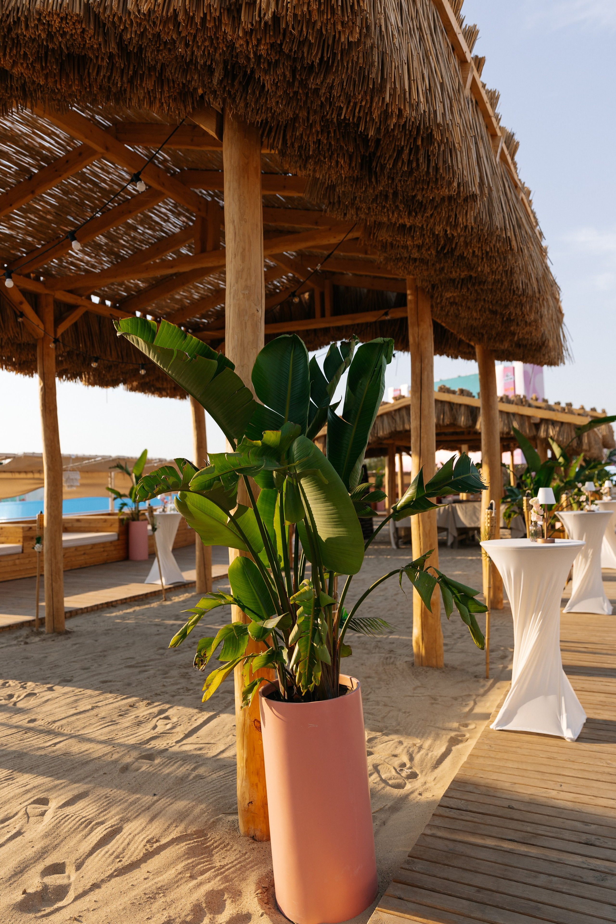 TOP SEXY — VIP MAGAZIN. Fulga Photographer