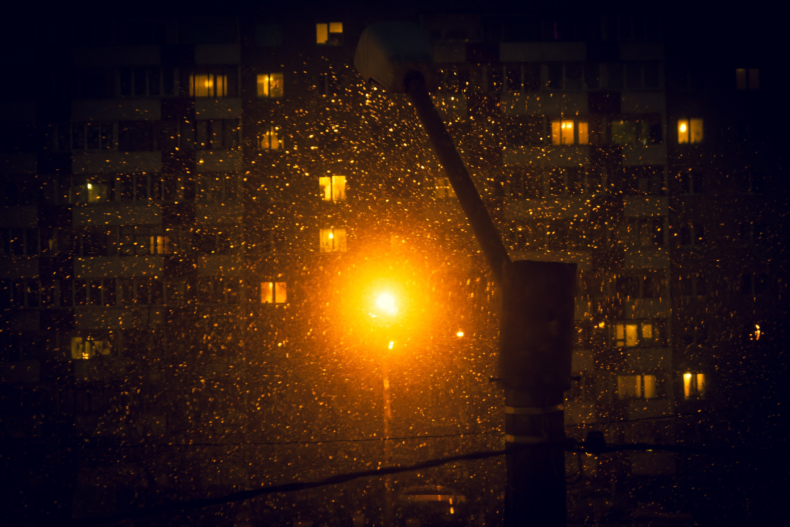 Eelmine öö. Nebula 25 — Fotod teie hingele