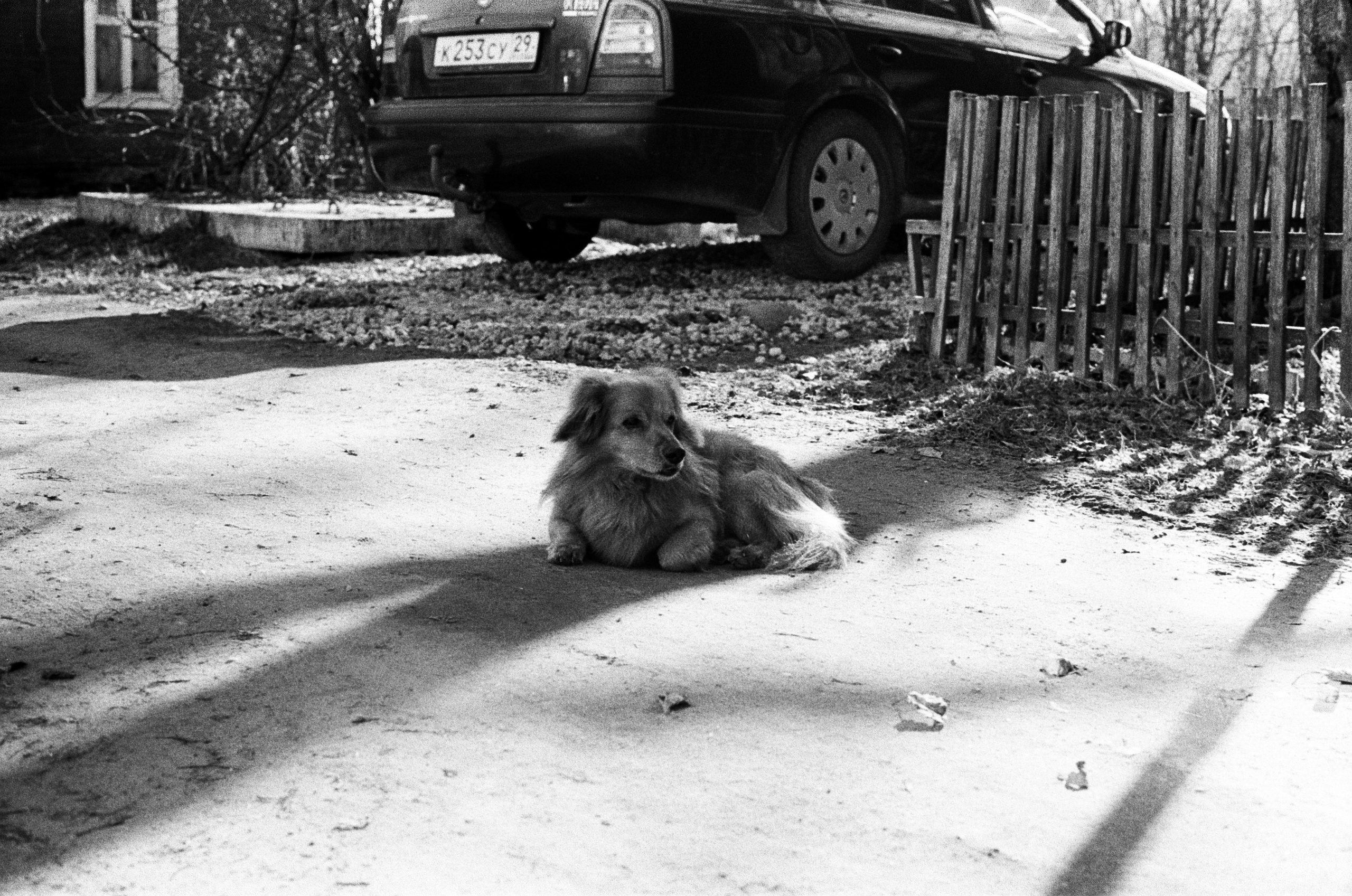 Вологда Архив. «Фотохроники»