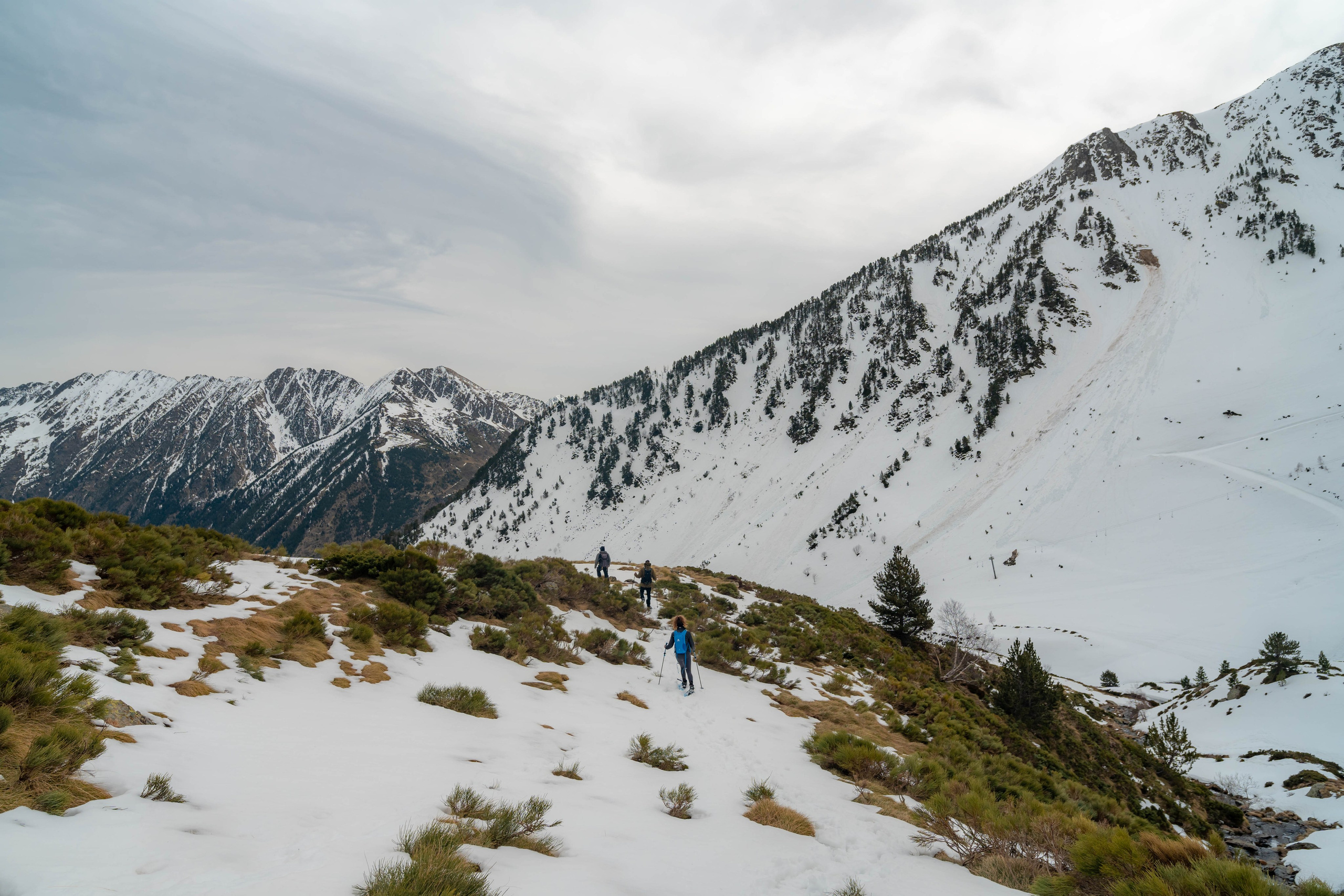 Ruta Comas de Fort. Alba del Norte Studio