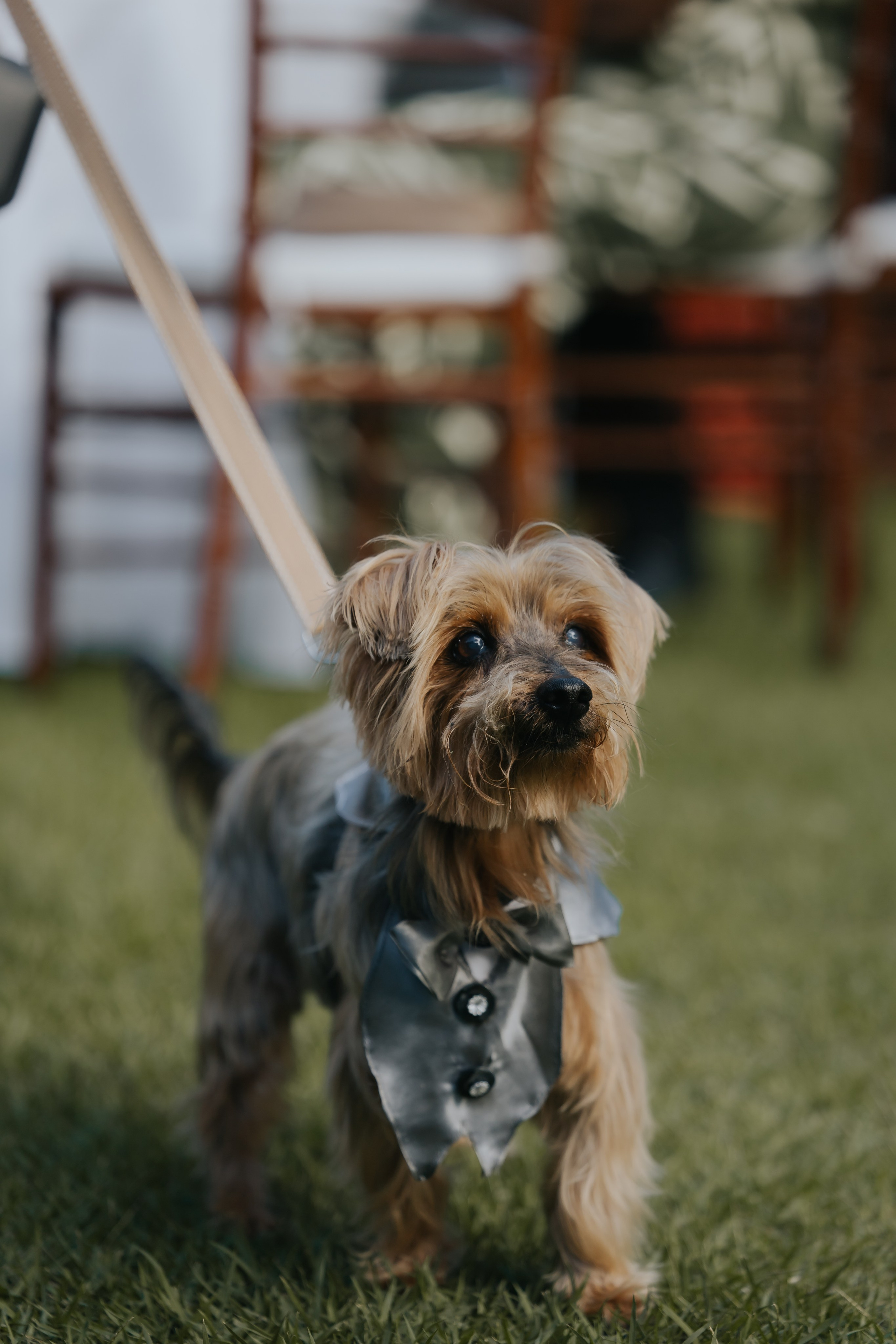 Clara & Ryan. Fotógrafo de Casamentos na Bahia — Richard Silvestre