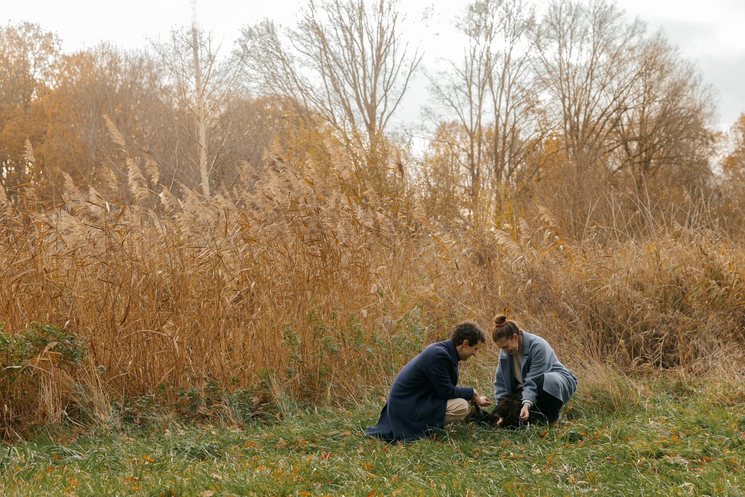 Pet Photoshoot in Spijkenisse | Rotterdam. Romantic & Soulful Photography by Natalia Olhova in Rotterdam