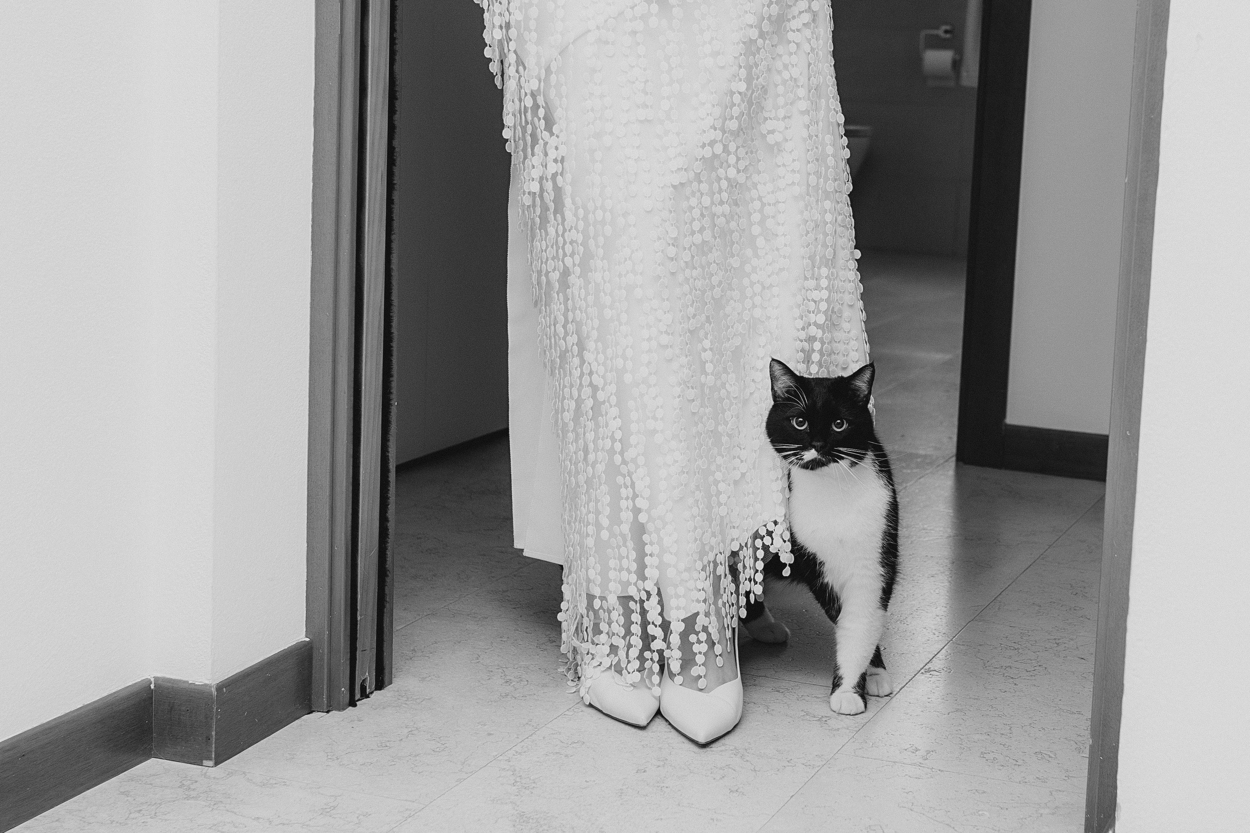 Olga & Cristian: Bassano del Grappa. Maternity/Love story/Wedding photographer