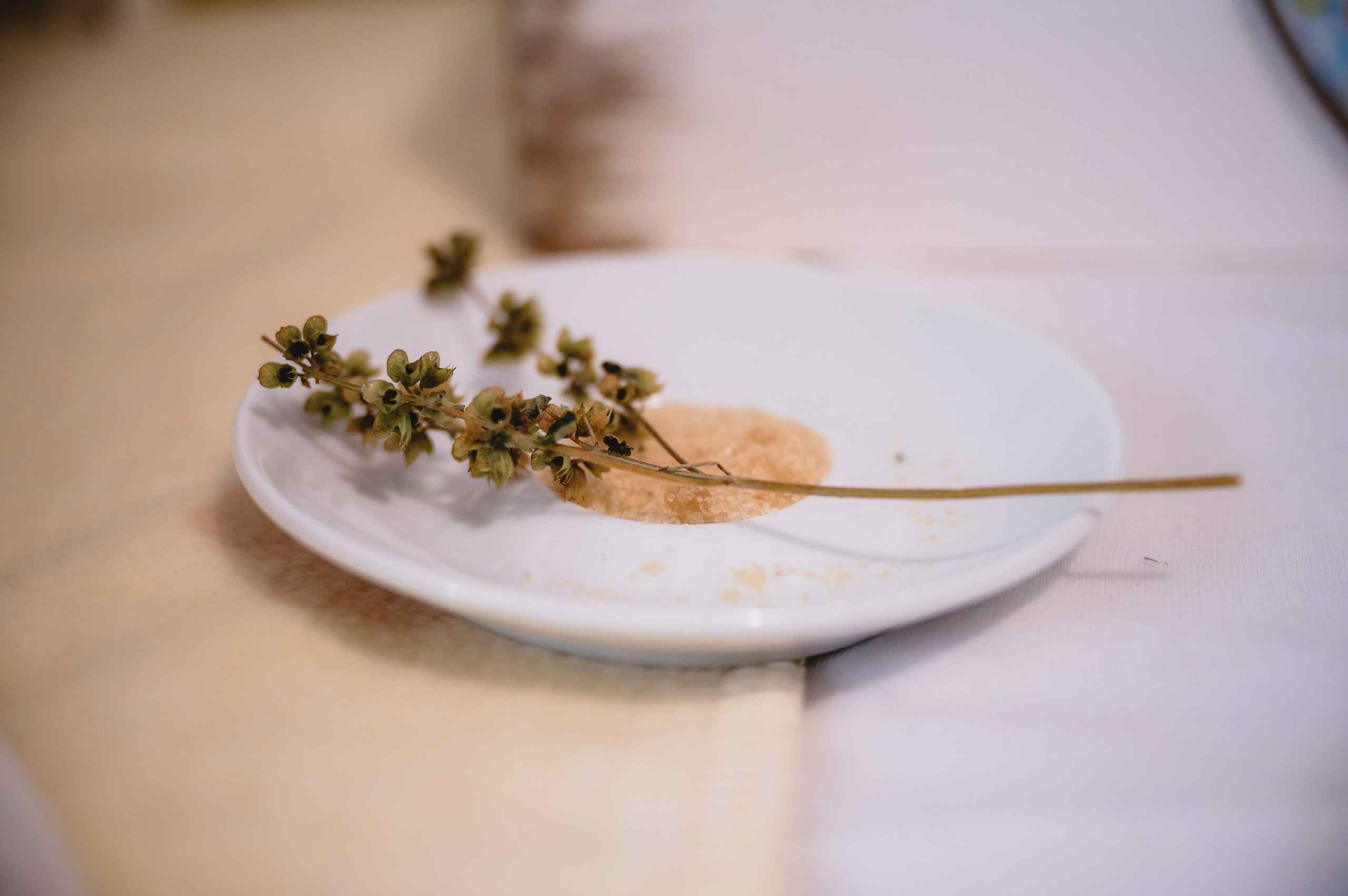 Povestea lui Vladimir. Laurentiu Stefan StoryTeller