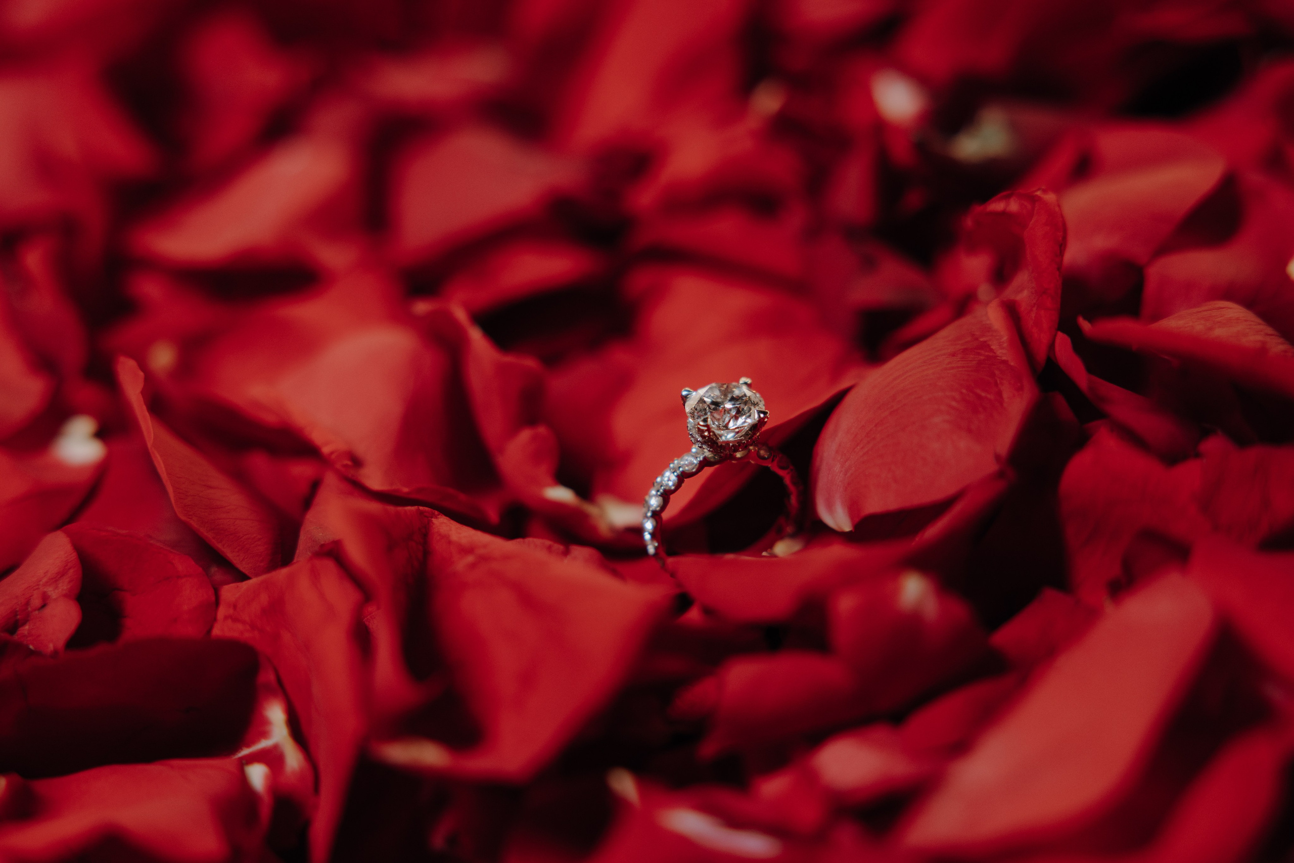 Sara & Rami Proposal