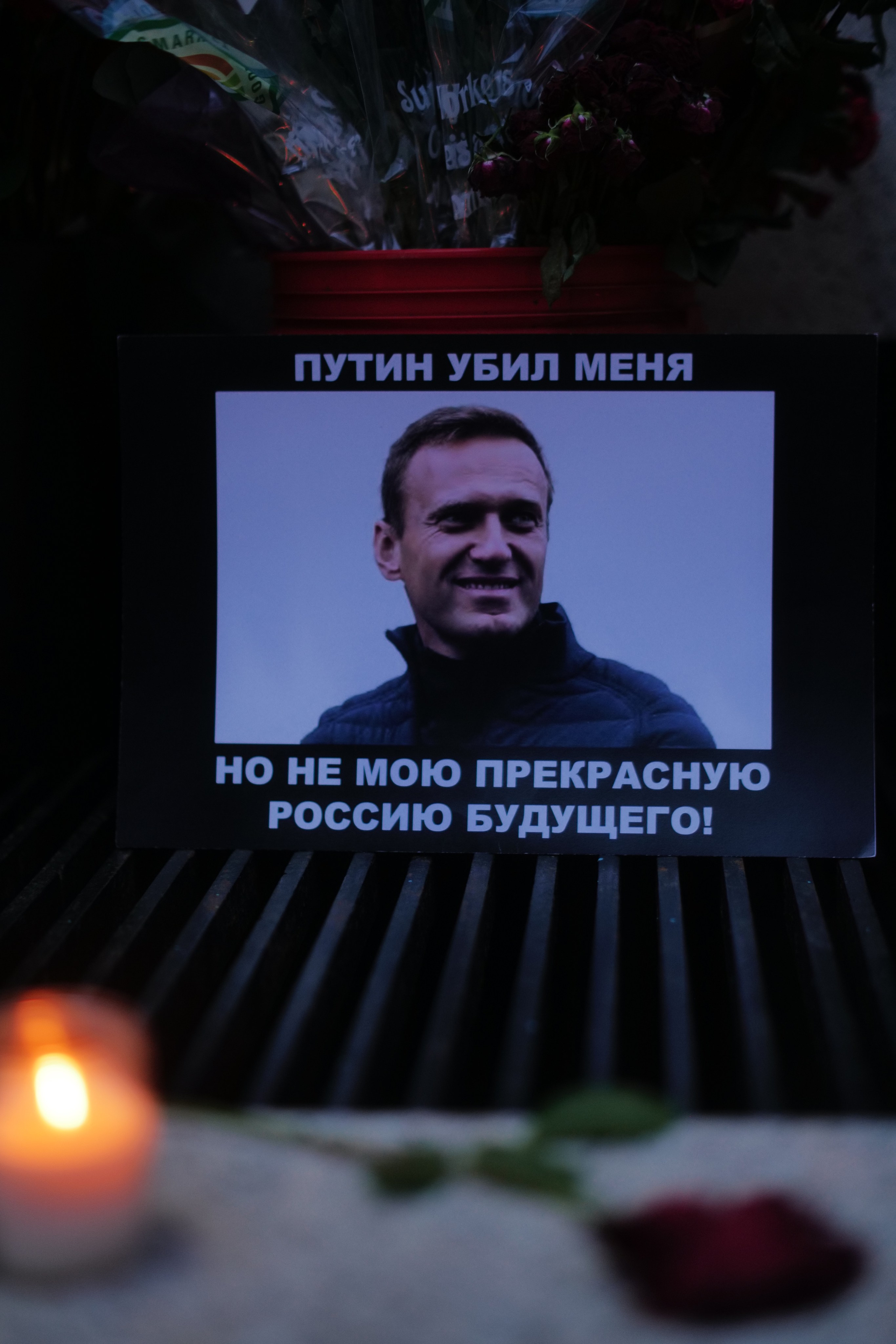 Rallies of team Navalny NY. Photographer New York / Los Angeles