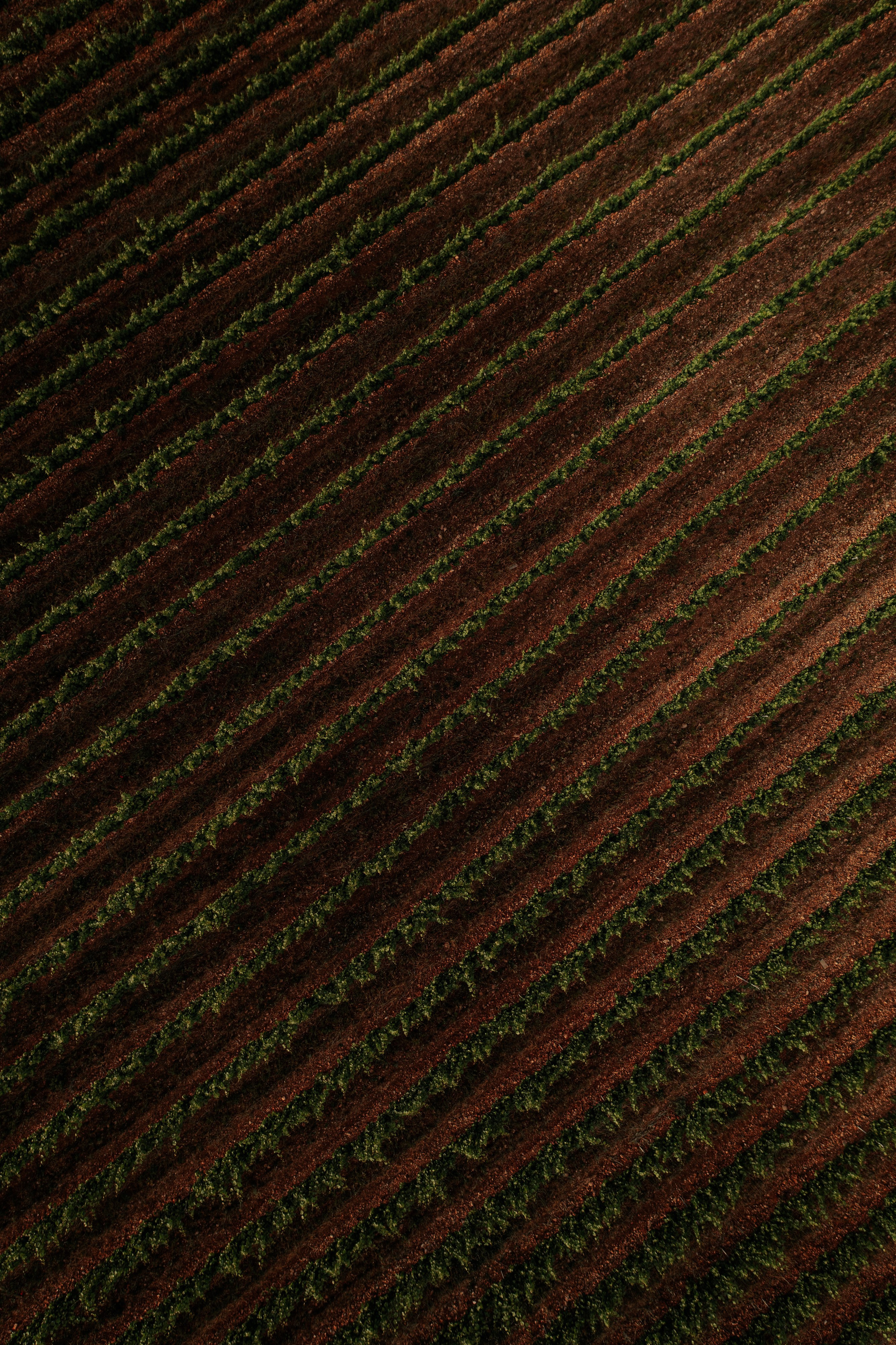 Estates Costa Lazaridi