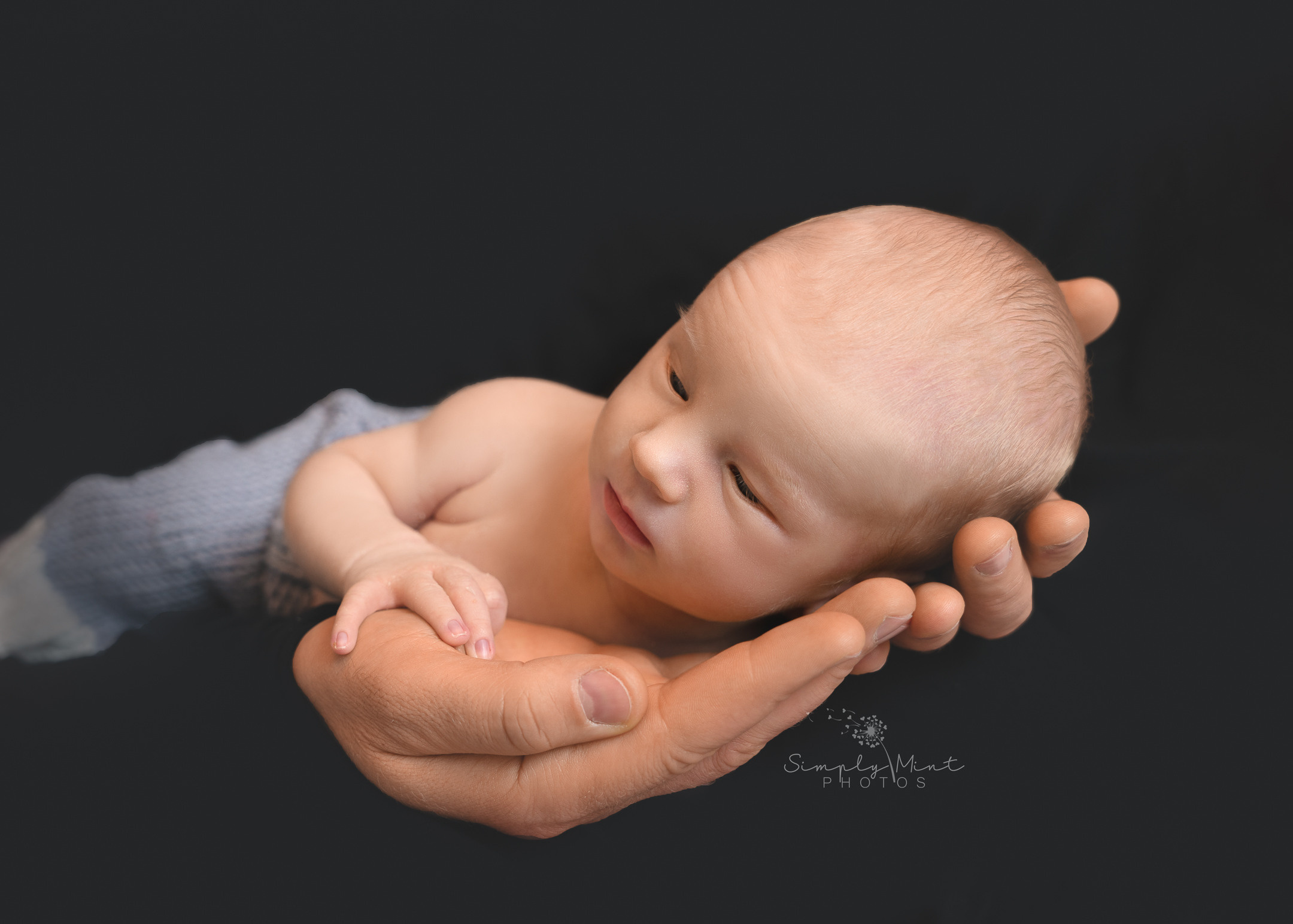 Newborns. Simply Mint Photos — Newborn and Family Photographer in Midlands