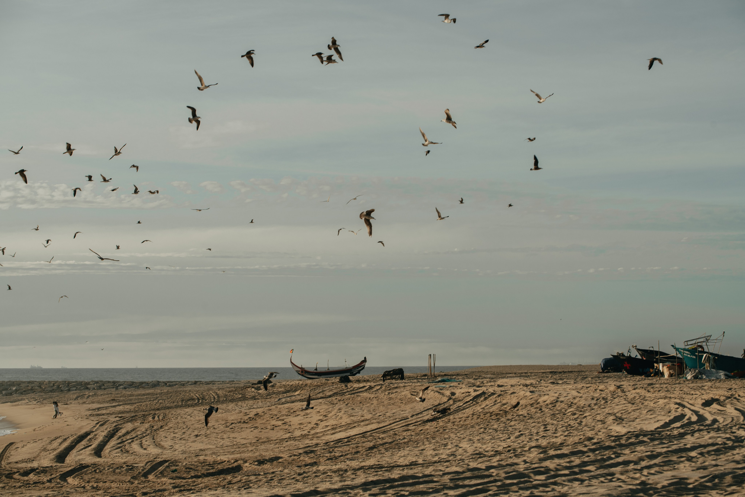 HELENA and PEDRO. Espinho. Anastasiia Antoniuk portrait, family and couple photographer, Portugal