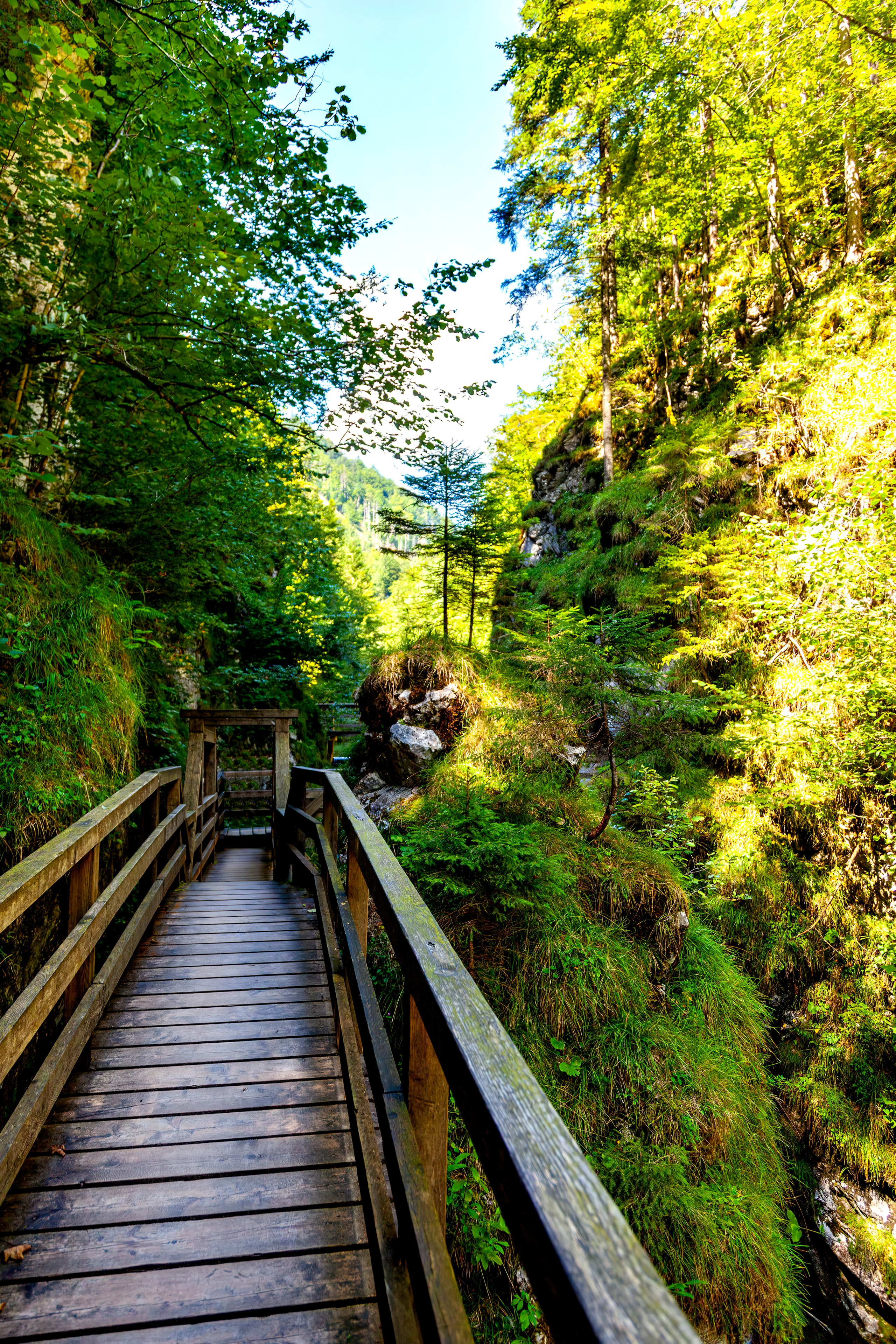 194.Mendlingtal.Austria.19.8.2025. Путешествия в формате 360......