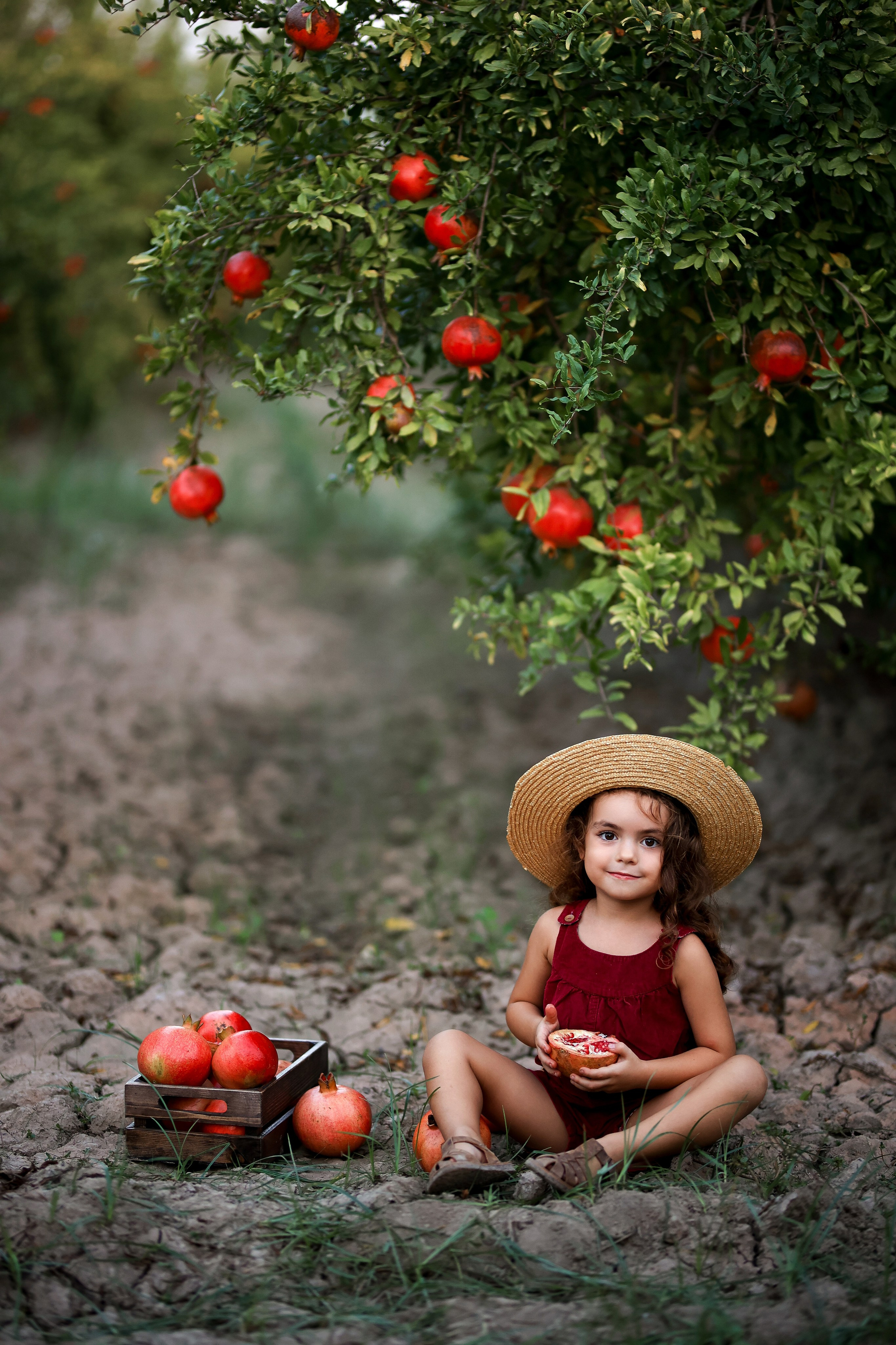 Photoshooting in pomegranate garden. Photographer in Turkey, Antalya, Kemer, Belek, Side, Kas, Fethiye
