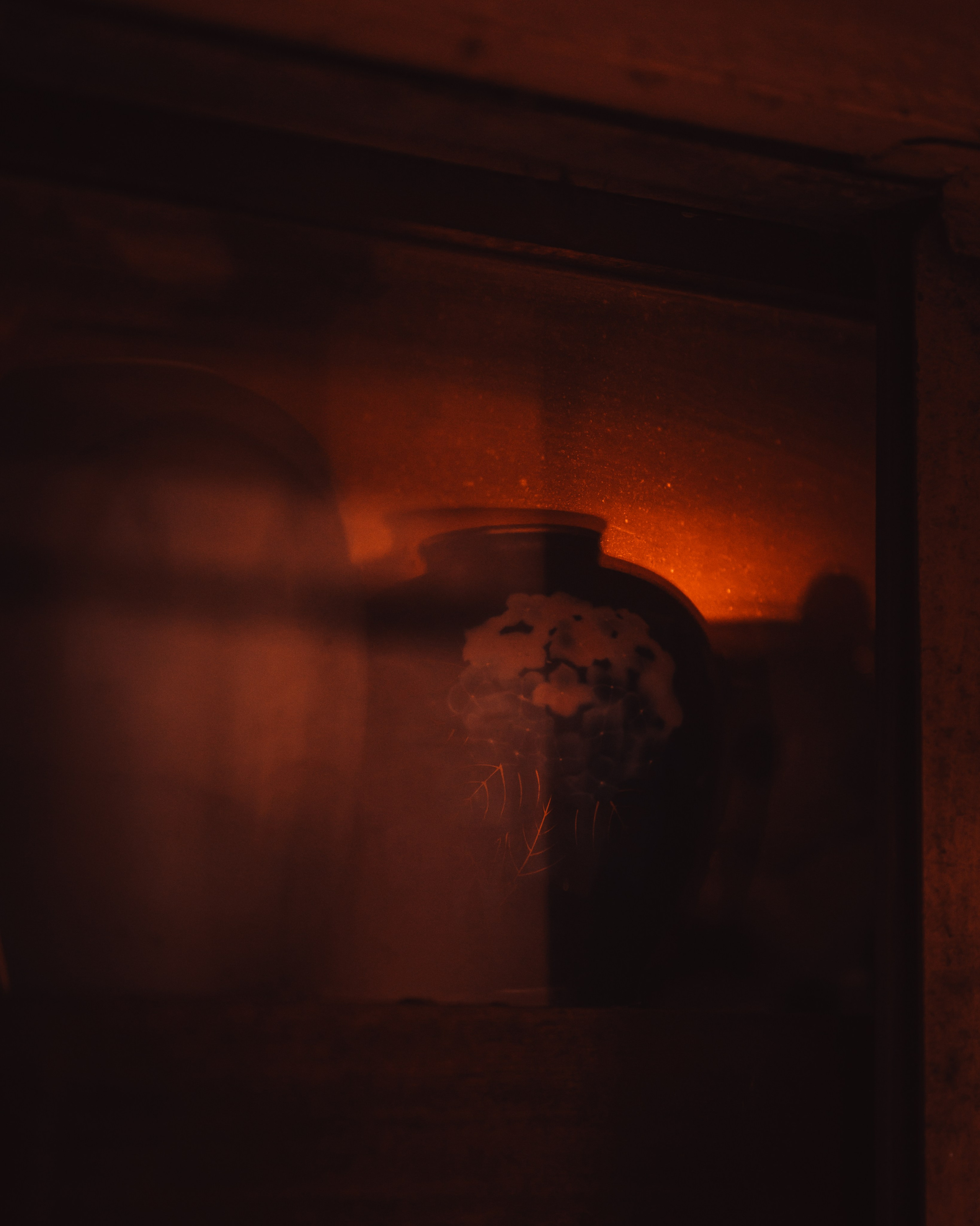 Signature style. Senya JP